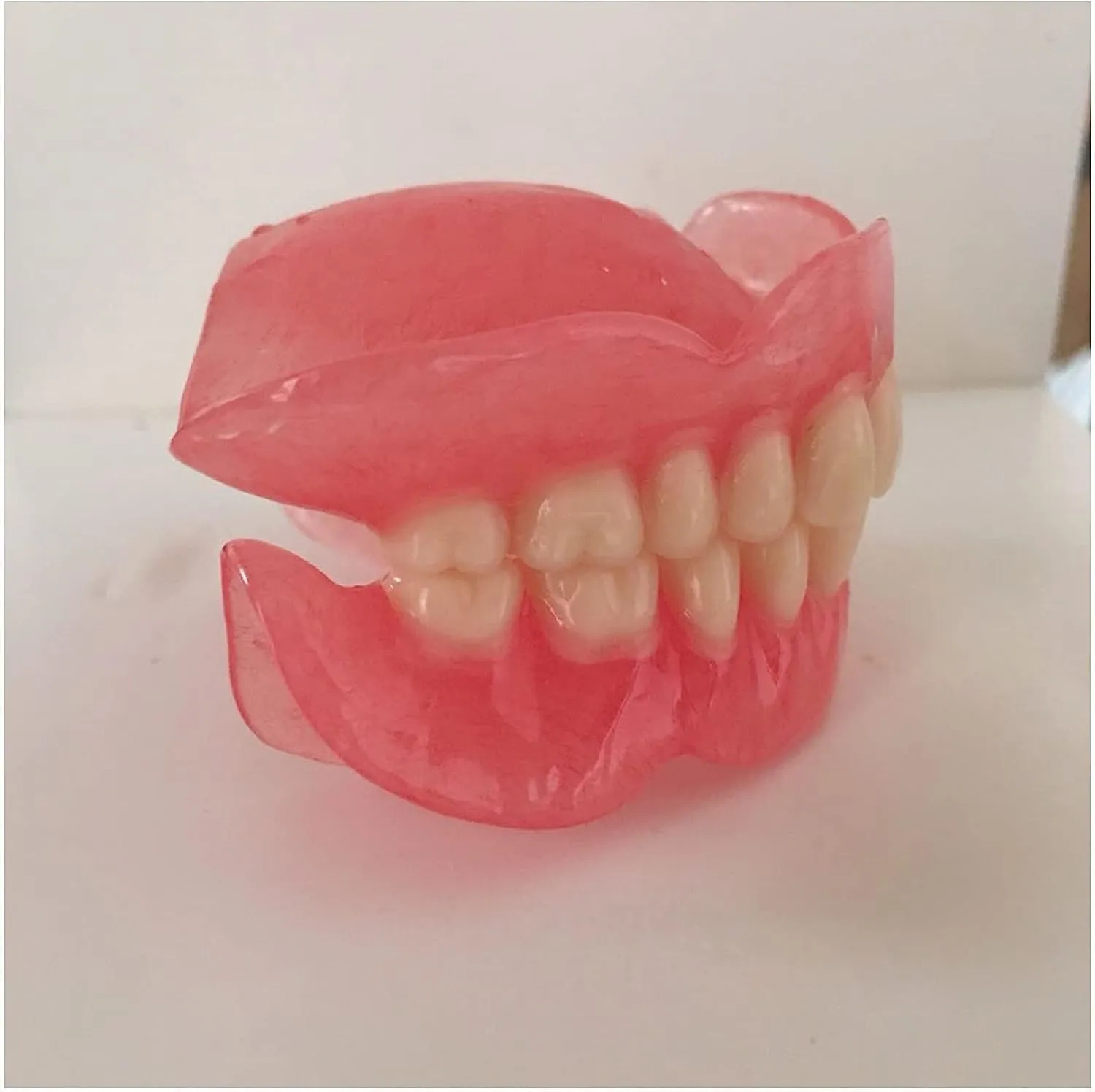 Modello di dentiera Modello di dente della bocca, modelli di denti superiori e denti inferiori, for strumento di studio didattico for dimostrazione del dentista. - immagine 3