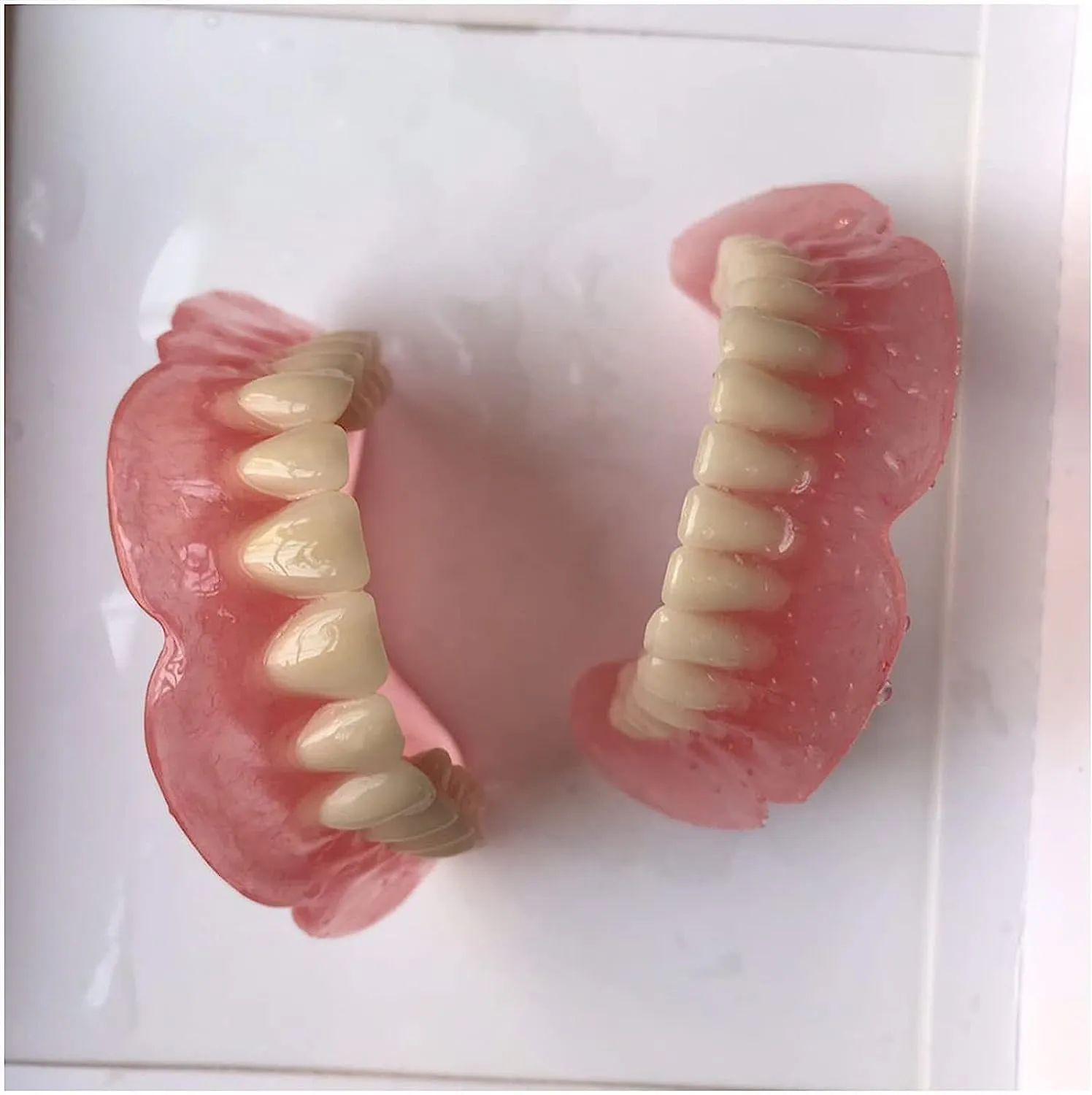 Modello di dentiera Modello di dente della bocca, modelli di denti superiori e denti inferiori, for strumento di studio didattico for dimostrazione del dentista. - immagine 4