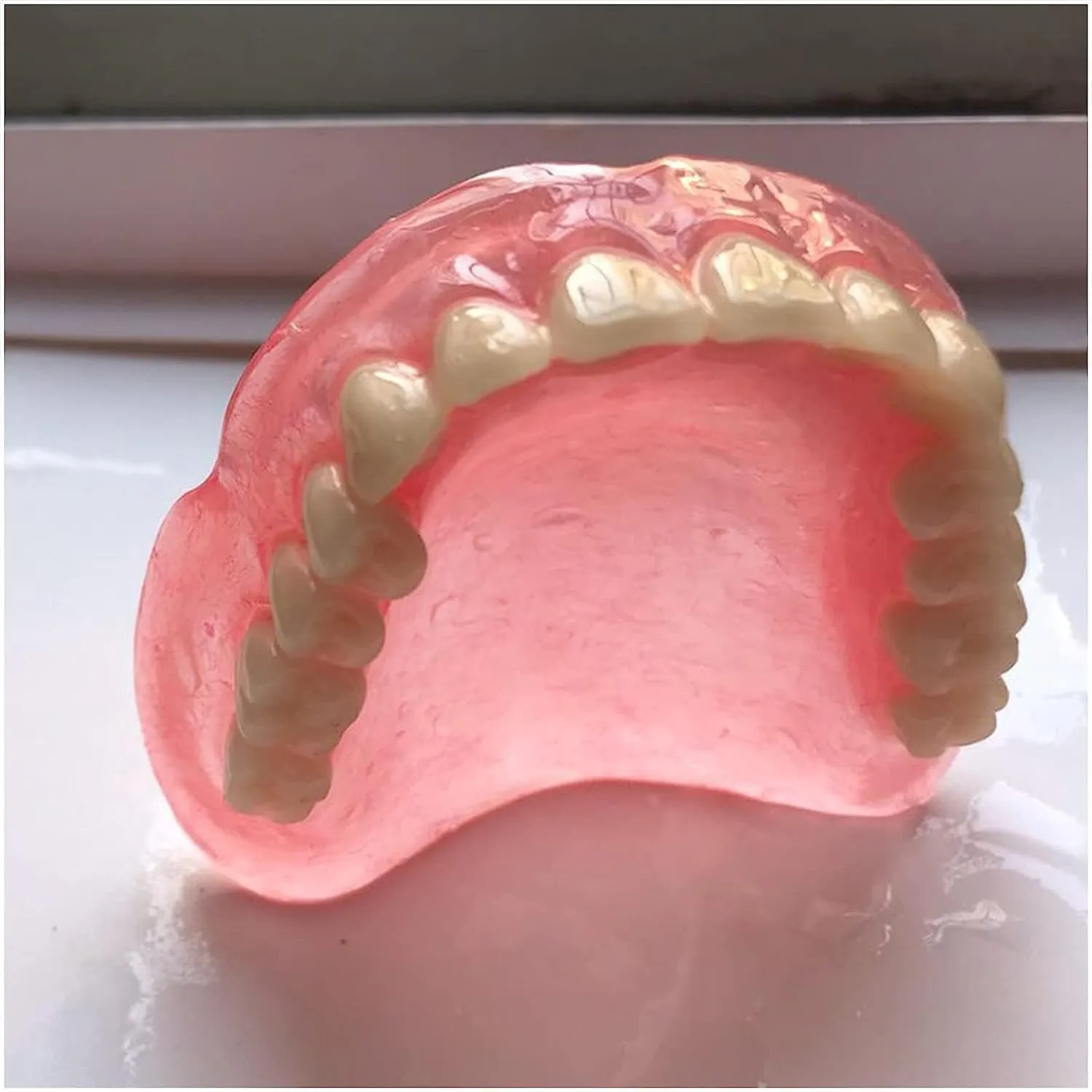 Modello di dentiera Modello di dente della bocca, modelli di denti superiori e denti inferiori, for strumento di studio didattico for dimostrazione del dentista. - immagine 6