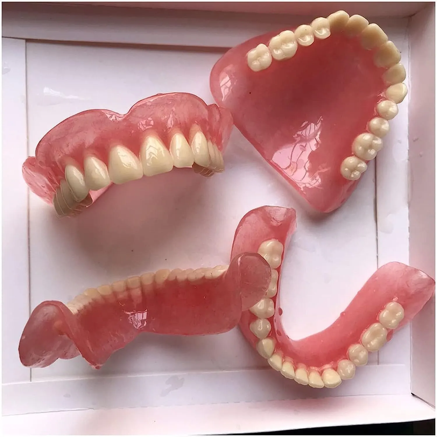 Modello di dentiera Modello di dente della bocca, modelli di denti superiori e denti inferiori, for strumento di studio didattico for dimostrazione del dentista. - immagine 7