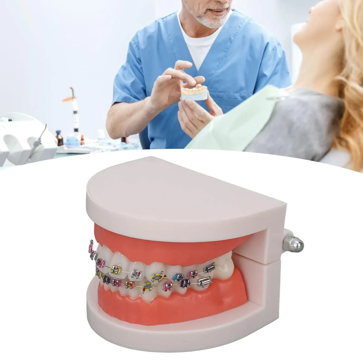 FLNEX Modello Dimostrativo Dentale Typodont con Staffe in Metallo Ortodontico, Modello di Dente Ortodontico per L'insegnamento E La Ricerca del Dentista - immagine 5
