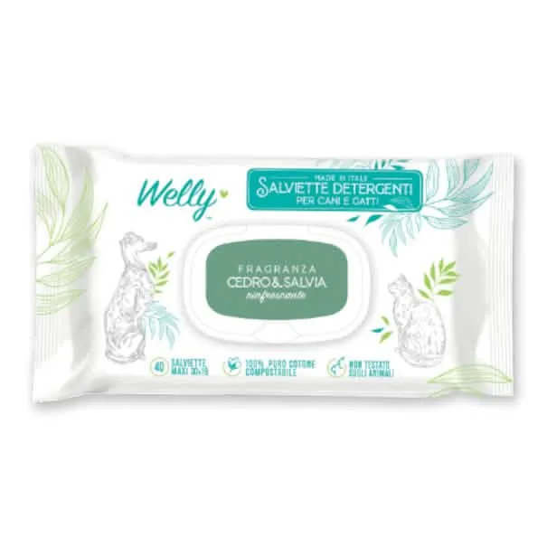 Welly salviette detergenti rinfrescanti cedro & salvia 40 pezzi - immagine 1