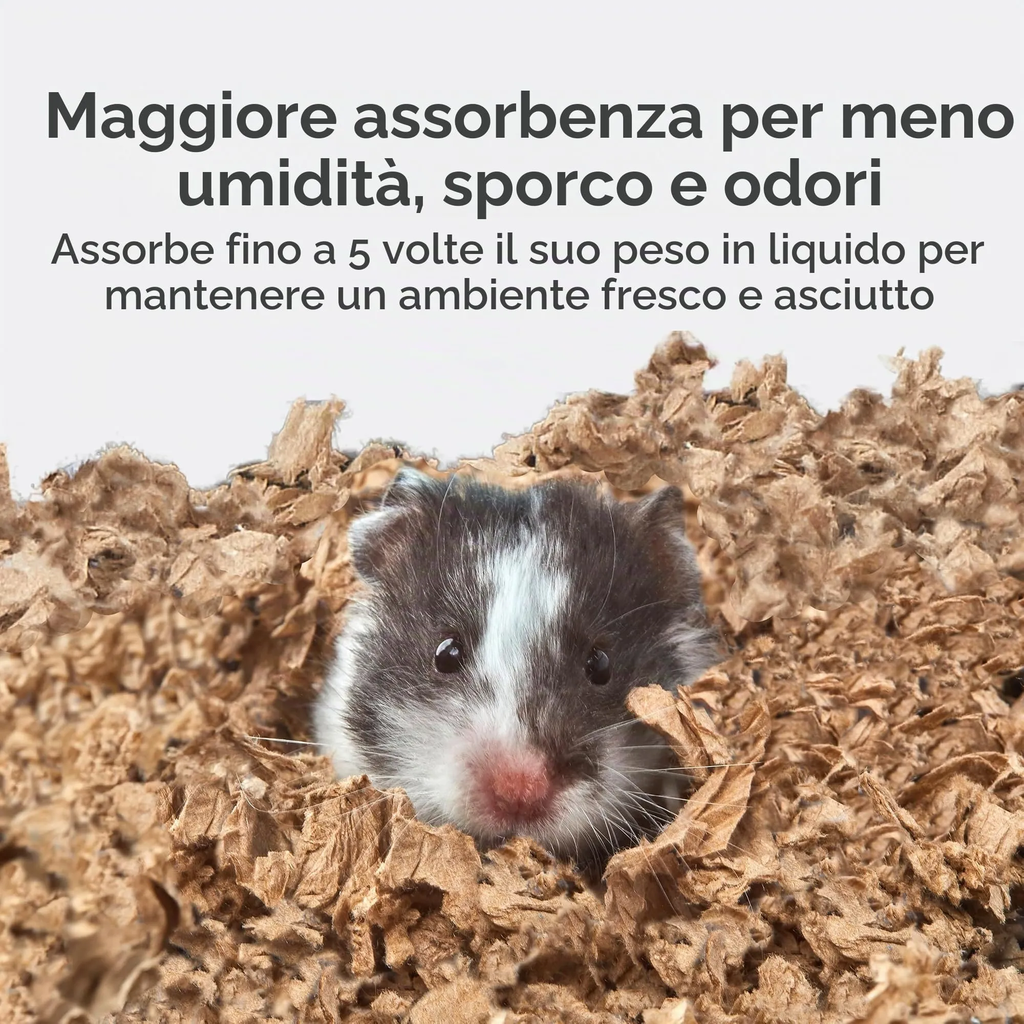 KAYTEE Superpet | Lettiera Clean & Cozy per Piccoli Animali/roditori/criceti | Naturale | 99,9% priva di Polvere | Controllo degli odori | 49,2 Litri - immagine 5