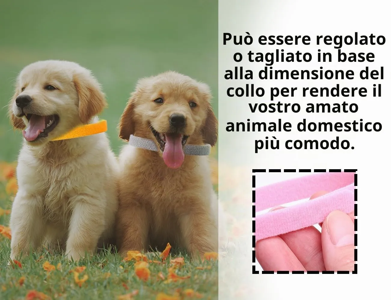KAPSING Collari Regolabili per Cuccioli e Gattini, 15 Colori - immagine 5