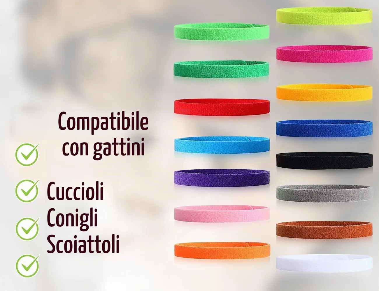KAPSING Collari Regolabili per Cuccioli e Gattini, 15 Colori - immagine 7