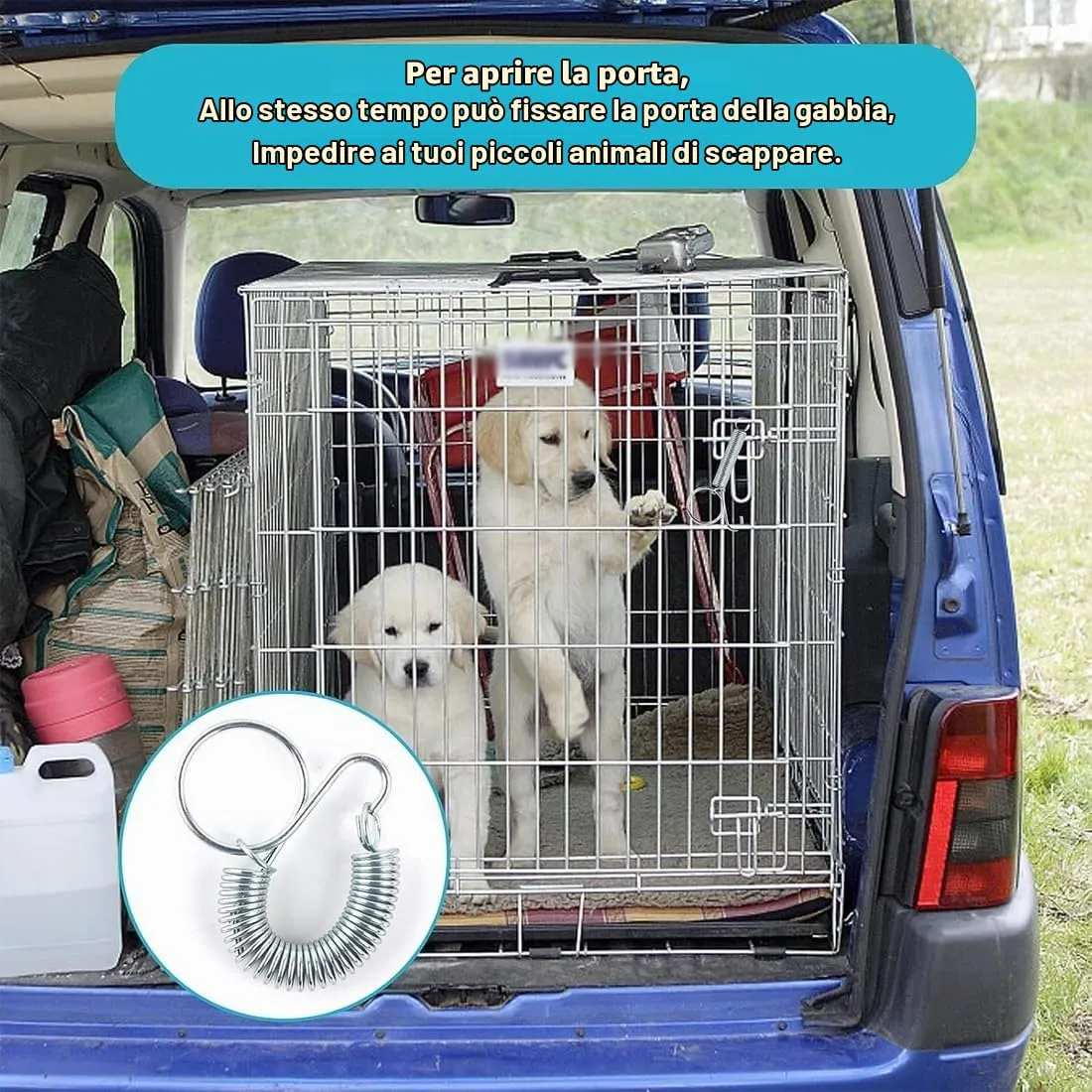 BEPSYOM Cani Gabbia Porta Gancia Molla,10 pzganci a Molla per Gabbia per Conigli,bbia Porta a Molla Gancio,Fissaggio Pet Gabbie Porta per Porte Roditori Criceti Scoiattoli Uccelli - immagine 5