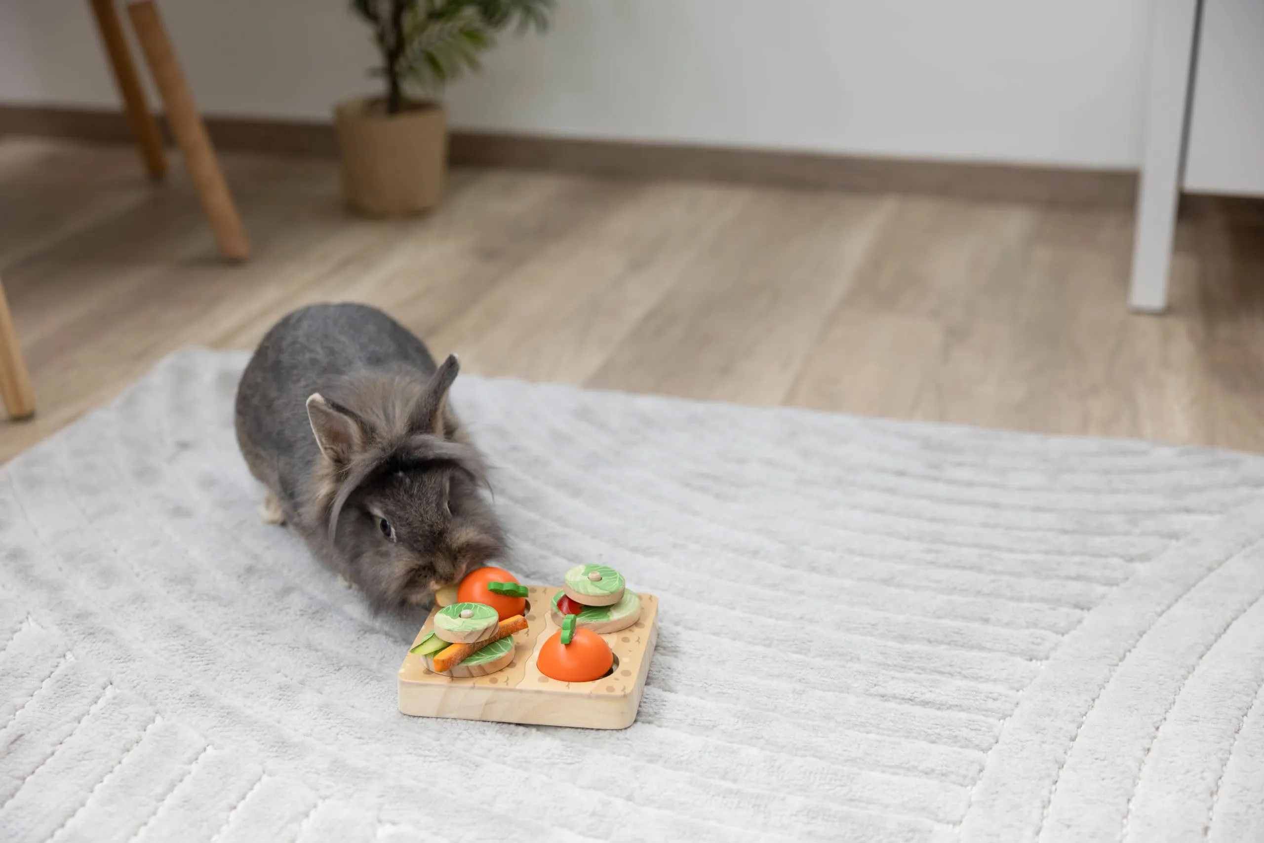 Kerbl Pet Giocattolo per Imparare e Pensare Veggie, 15 x 15 x 6 cm, Giocattolo per Conigli, Giocattolo per Conigli, Giocattolo per Roditori, Legno, Coniglio, Lepre - immagine 4