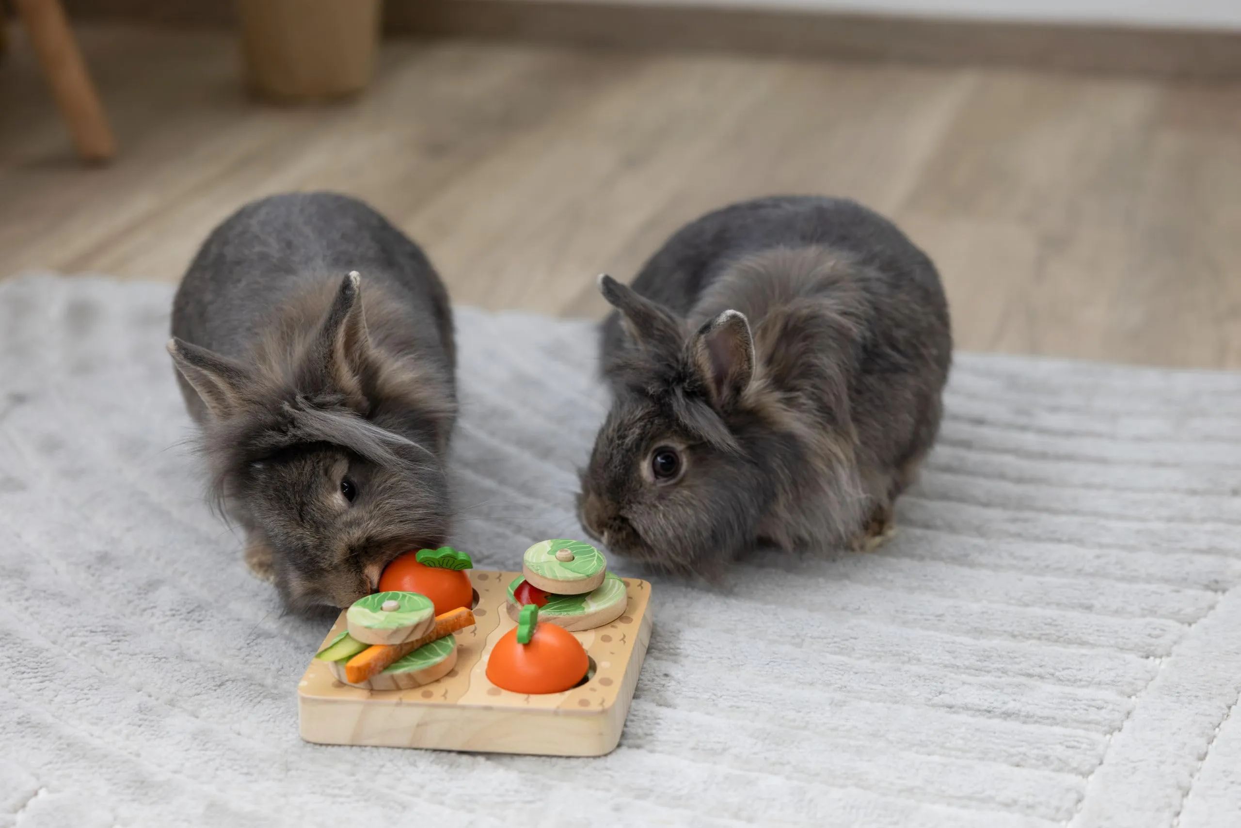 Kerbl Pet Giocattolo per Imparare e Pensare Veggie, 15 x 15 x 6 cm, Giocattolo per Conigli, Giocattolo per Conigli, Giocattolo per Roditori, Legno, Coniglio, Lepre - immagine 6