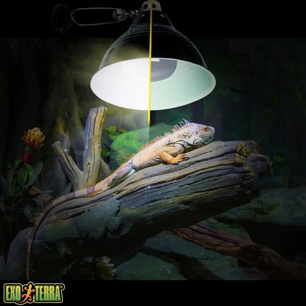 Exo Terra PT2196 Ex Intense Basking Spot 25 W - immagine 4