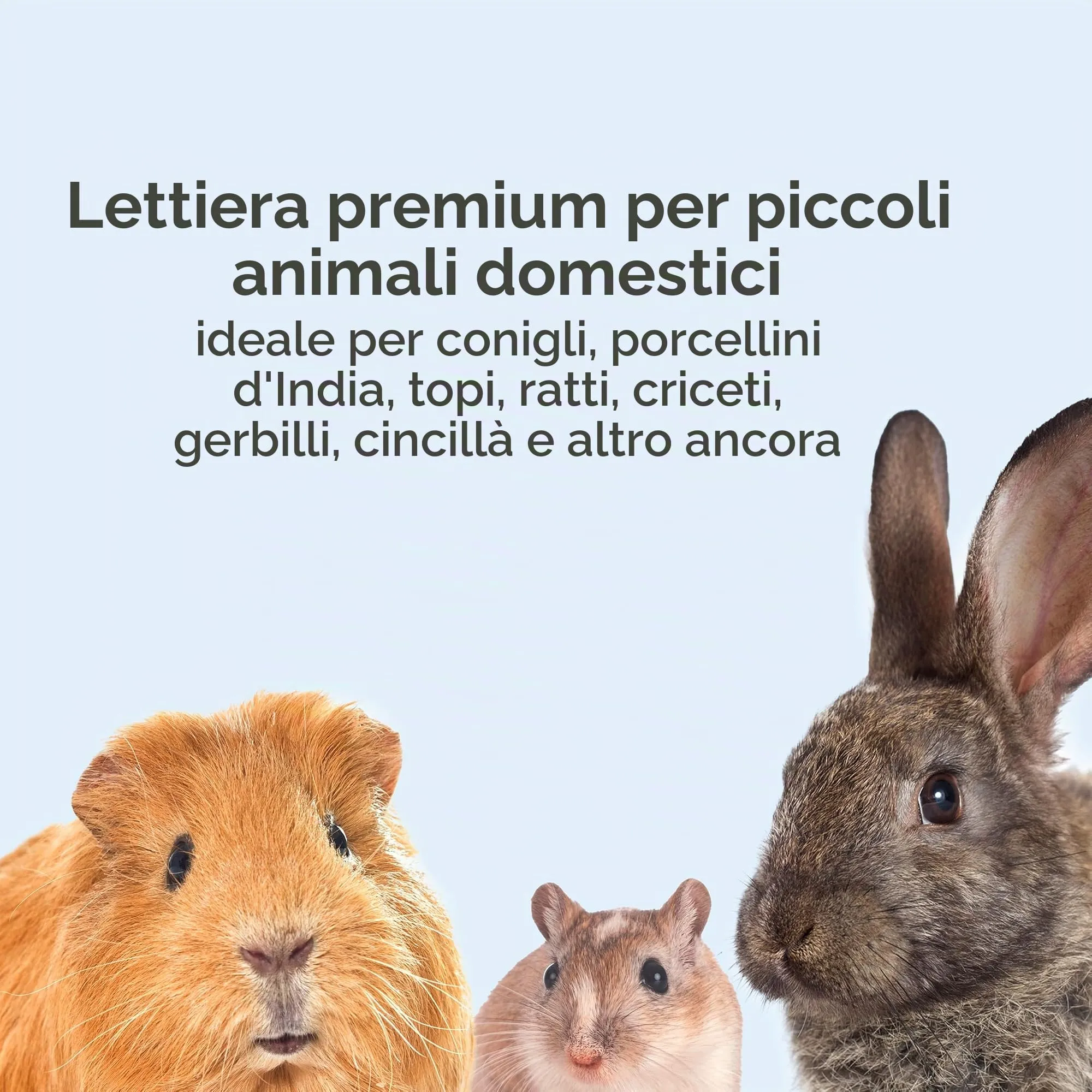 KAYTEE Superpet | Lettiera Clean & Cozy per Piccoli Animali/roditori/criceti | Bianco | 99,9% priva di Polvere | Controllo degli odori | 24,6 Litri - immagine 4