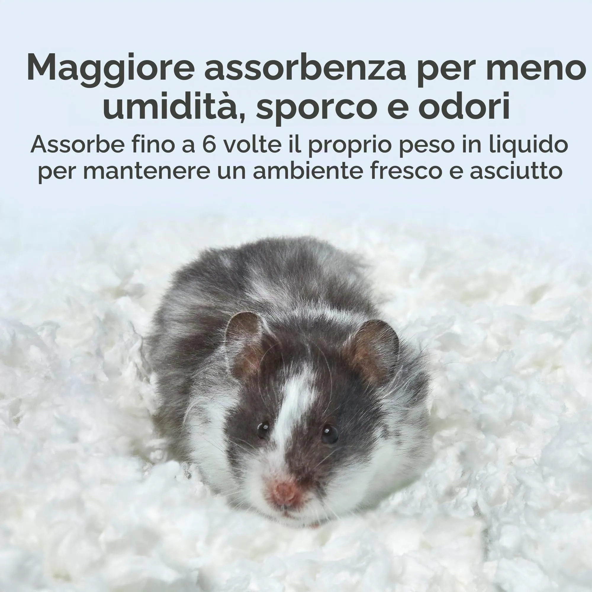 KAYTEE Superpet | Lettiera Clean & Cozy per Piccoli Animali/roditori/criceti | Bianco | 99,9% priva di Polvere | Controllo degli odori | 24,6 Litri - immagine 5