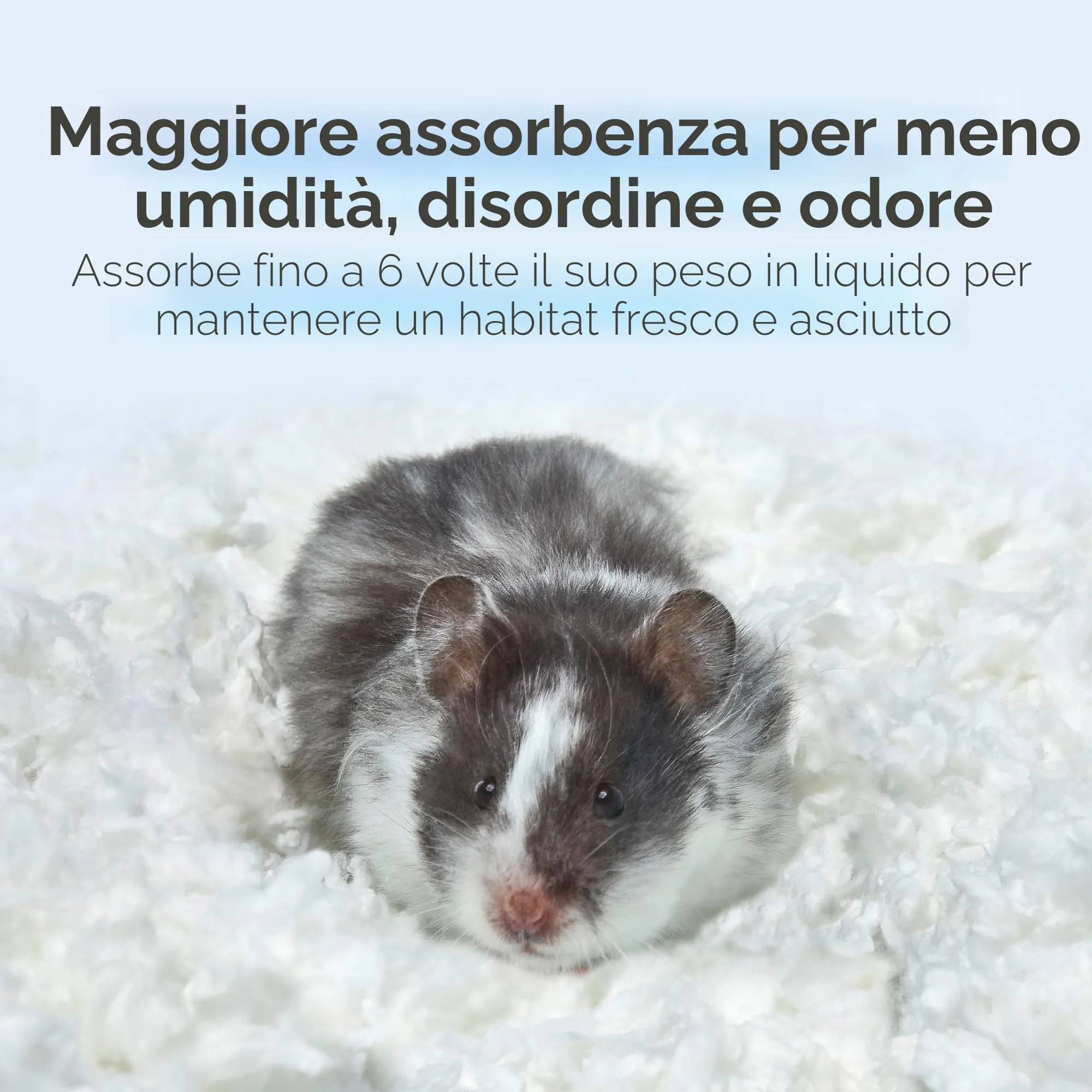 KAYTEE Superpet | Lettiera Clean & Cozy per Piccoli Animali/roditori/criceti | Bianco | 99,9% priva di Polvere | Controllo degli odori | 49,2 Litri - immagine 5
