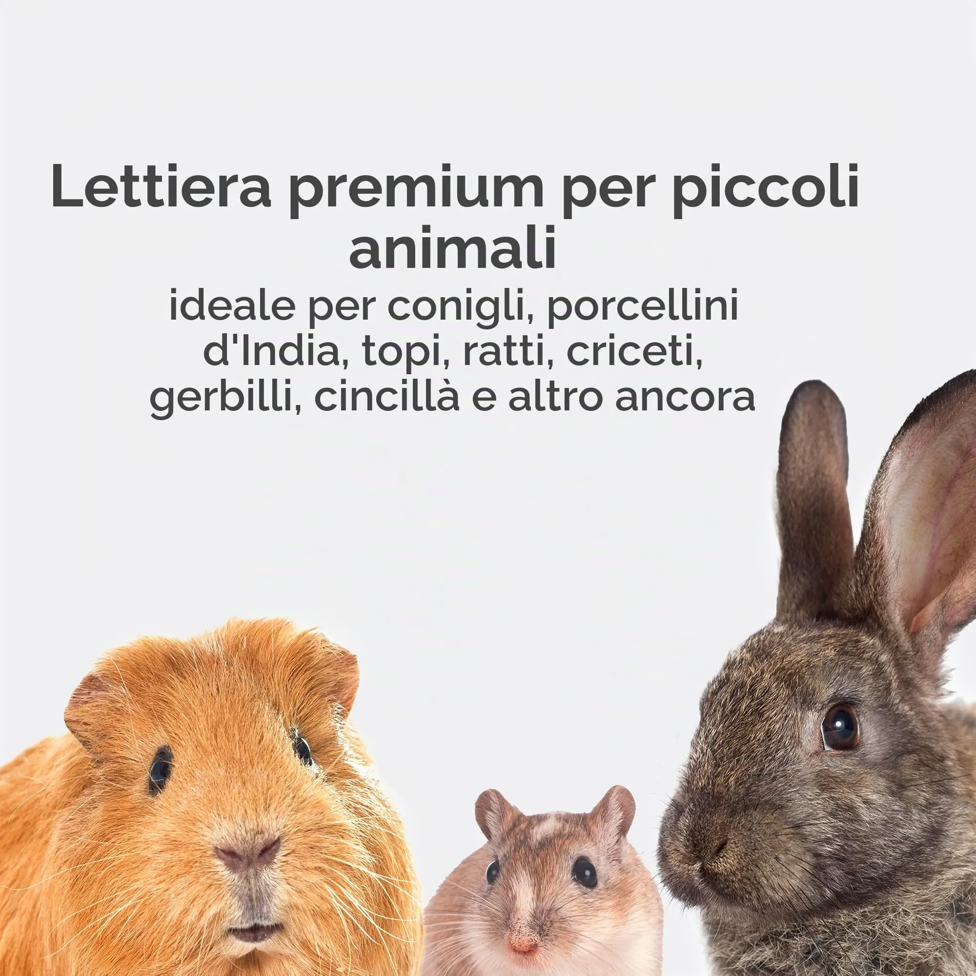 Kaytee Superpet | Lettiera Clean & Cozy per Piccoli Animali/roditori/criceti | Naturale | 99,9% priva di Polvere | Controllo degli odori | 24,6 Litri - immagine 4