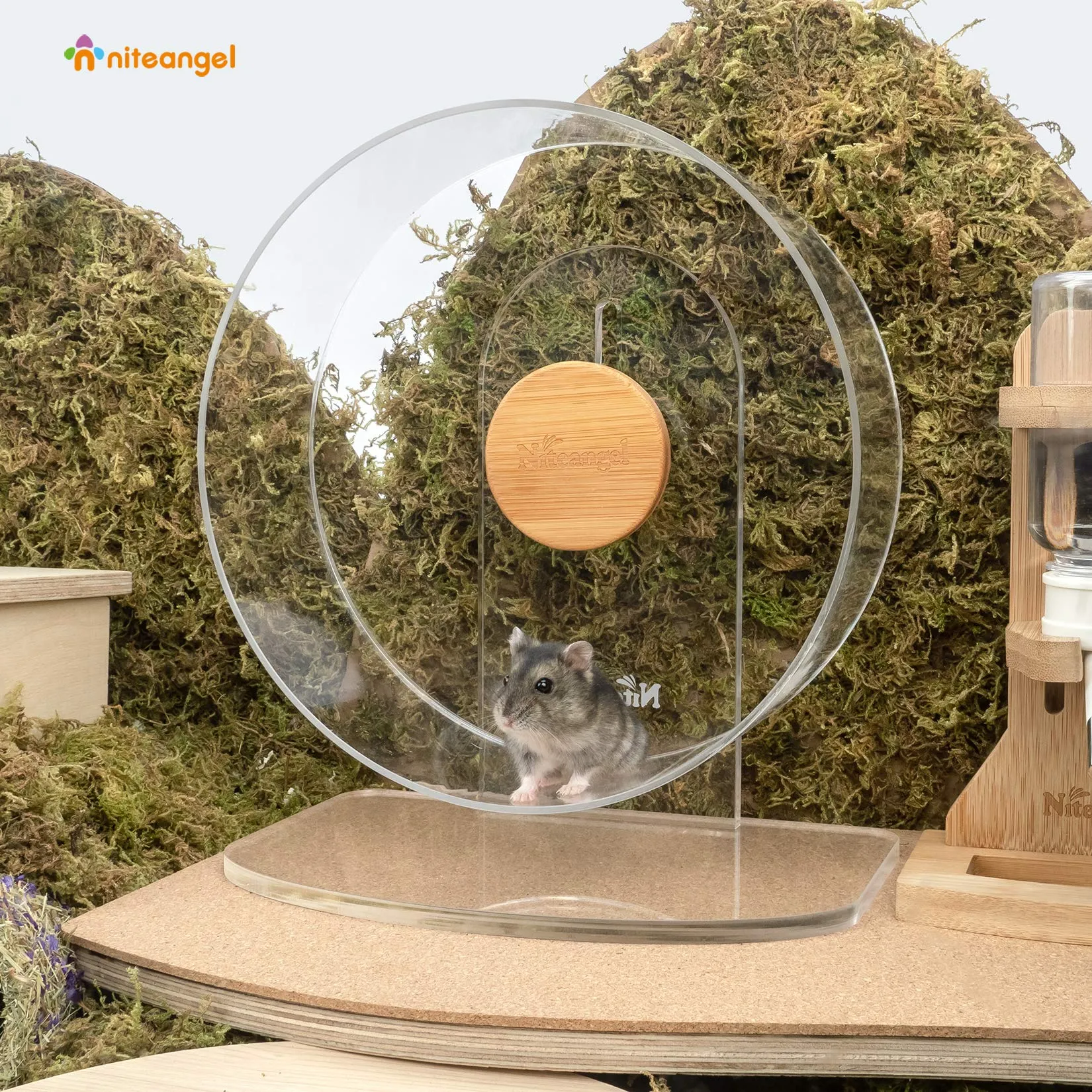 Niteangel - Ruota per esercizi silenziosa per criceti: - Ruota da corsa per criceti con doppio cuscinetto e rotazione silenziosa in acrilico per criceti nani, gerbilli, topi - immagine 2