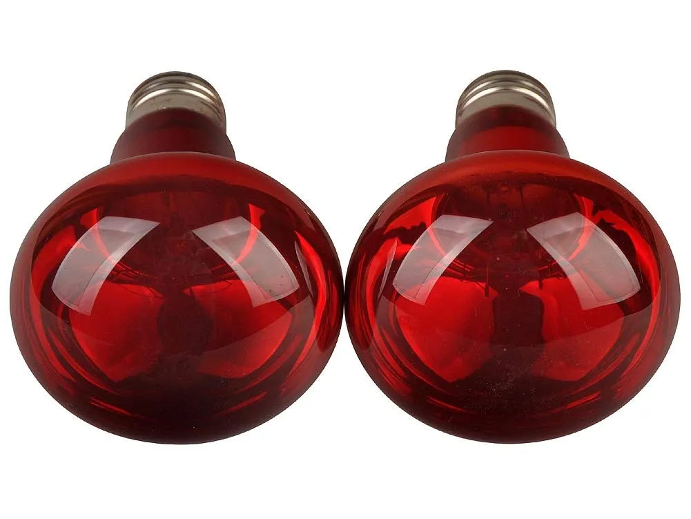 Lucky Herp Rettile Infrarossi Basking Lampadina Calore Lampadina, Confezione da 2, E27, Filettatura a vite (25 Watt) - immagine 4