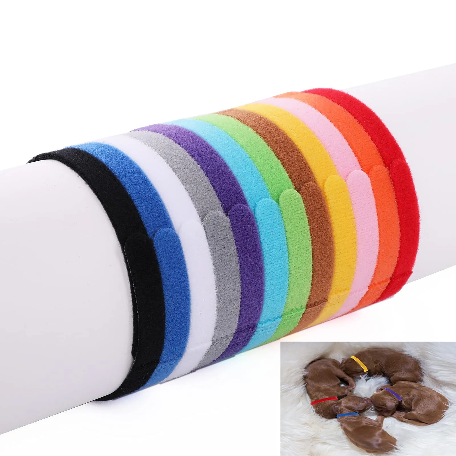 Molain 12 collari identificativi per cuccioli, piccola taglia regolabili per gatti (30 cm) - immagine 1