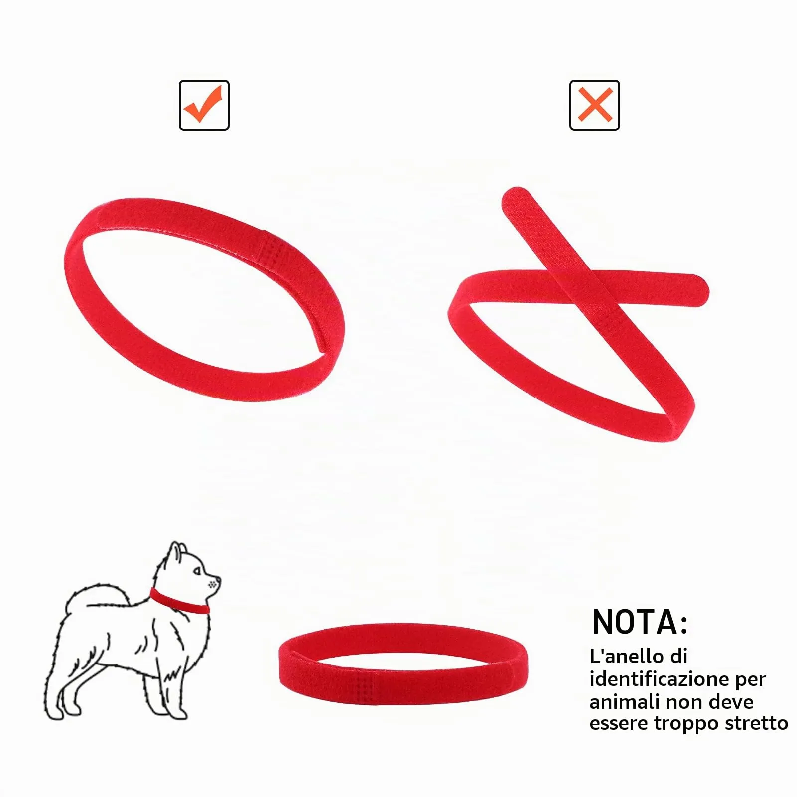 Molain 12 collari identificativi per cuccioli, piccola taglia regolabili per gatti (30 cm) - immagine 4