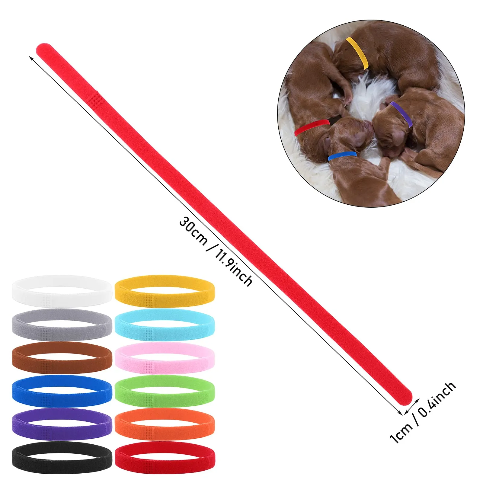 Molain 12 collari identificativi per cuccioli, piccola taglia regolabili per gatti (30 cm) - immagine 5