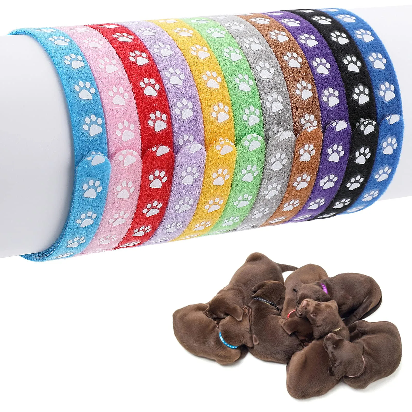Molain Collari per Cuccioli di Piccola Taglia - Fasce Identificative per Cani, Gattini e Neonati (30 cm) - immagine 1