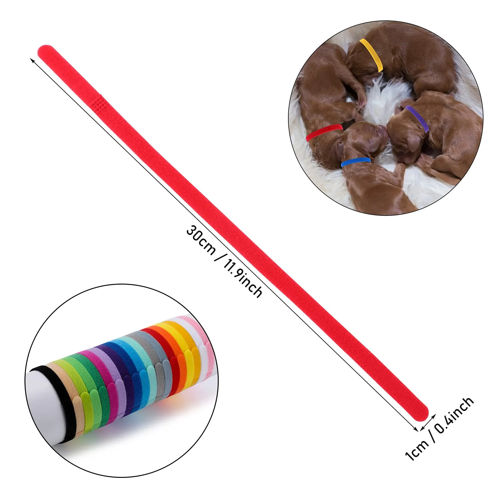 Molain 20 Pezzi Collari per Cuccioli di Piccola Taglia, Fasce Identificative per Cani, Collari per Neonati (30 cm) - immagine 2