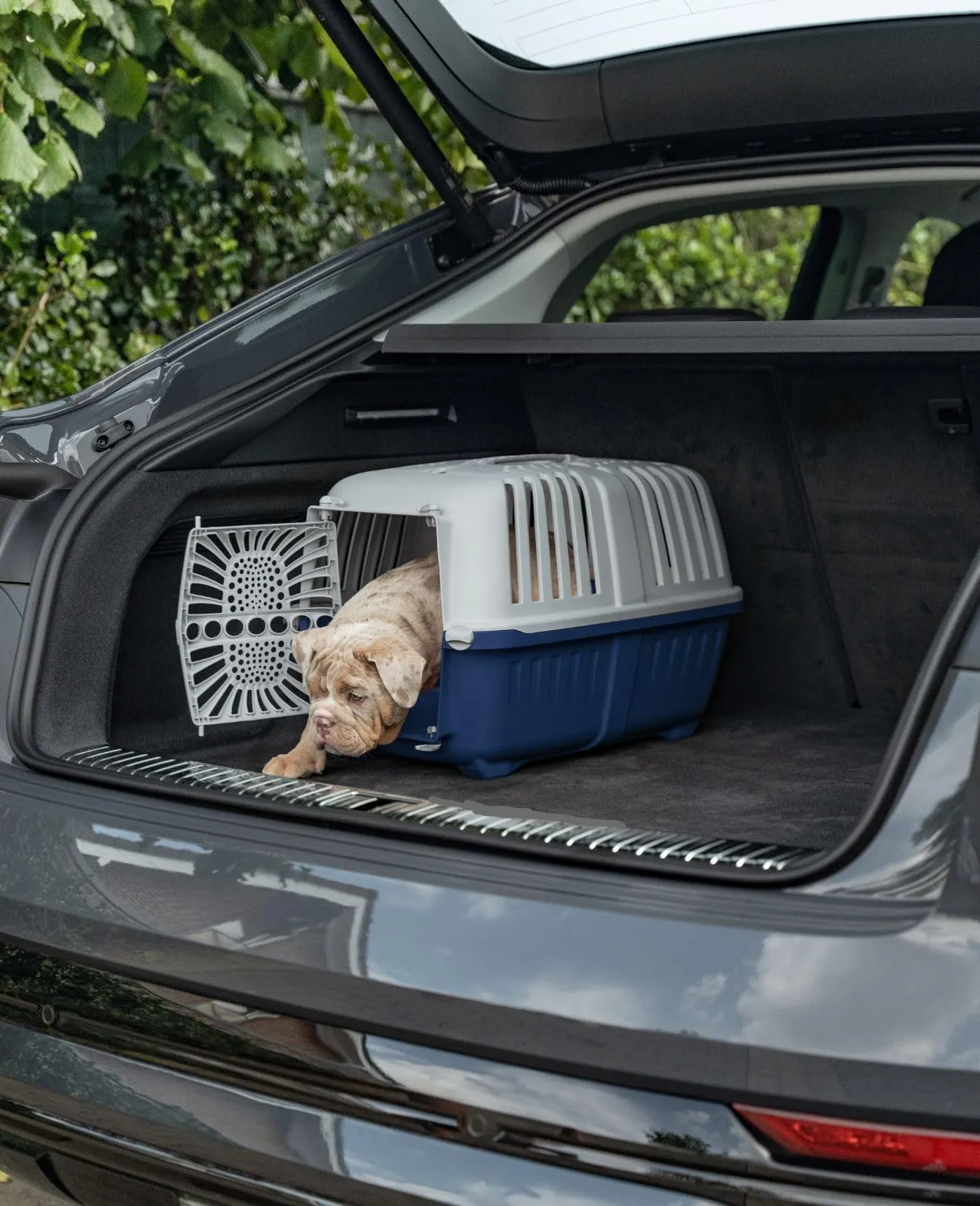 lionto Trasportino Animali, fino a 15 kg, 55 x 36 x 36 cm, Blu - immagine 2