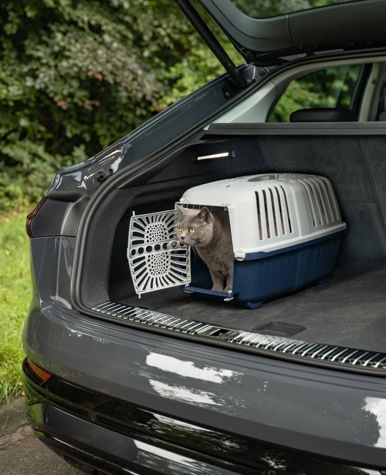 lionto Trasportino Animali, fino a 15 kg, 55 x 36 x 36 cm, Blu - immagine 3