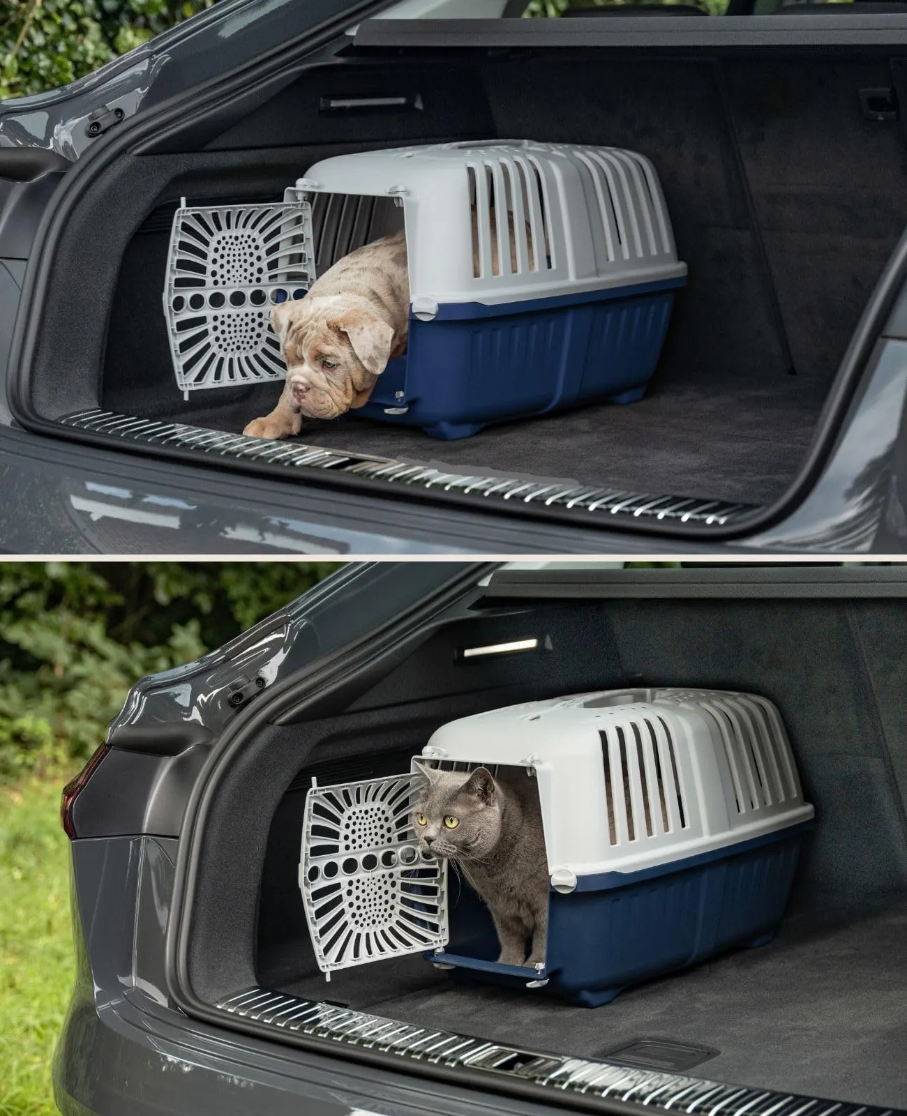 lionto Trasportino Animali, fino a 15 kg, 48 x 31,5 x 33 cm, Blu - immagine 2