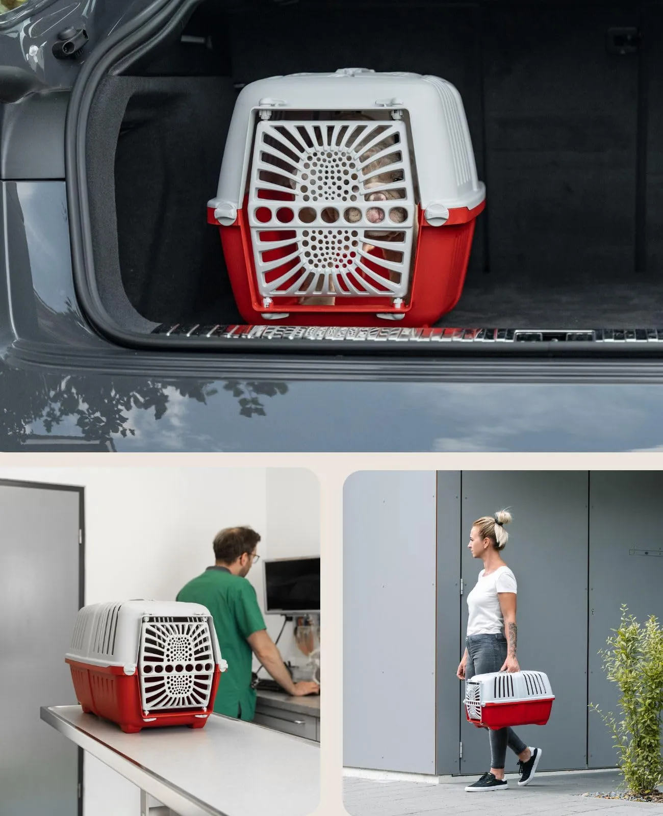 lionto Trasportino Animali, fino a 15 kg, 48 x 31,5 x 33 cm, Rosso - immagine 4