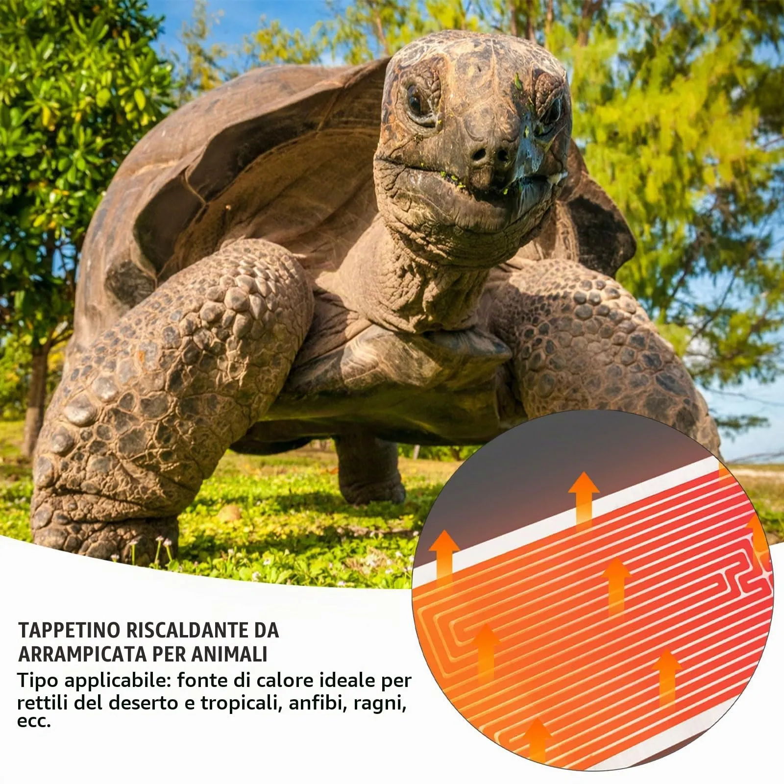 Tappetino Riscaldante, Tappetino Riscaldante per Rettili, 7W Tappetino Riscaldante Rettili, Tappetini Riscaldanti per Rettili, Tappetino Riscaldanti Rettili Regolabile con Regolatore di Temperatura - immagine 4