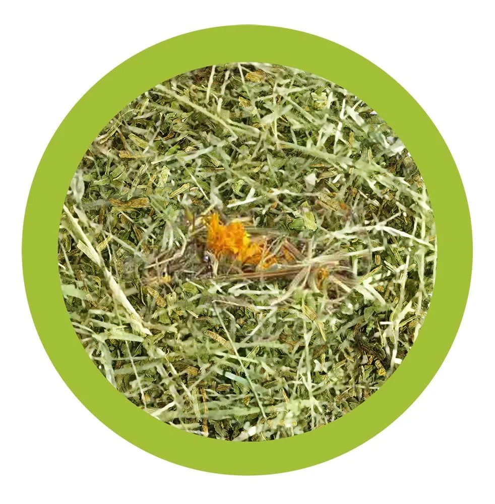 Paglianatura Kit 2 Sacchi Fieno Naturale 1300 g con Tarassaco – Alimento per Conigli e Roditori – Ricco di Fibre - immagine 2