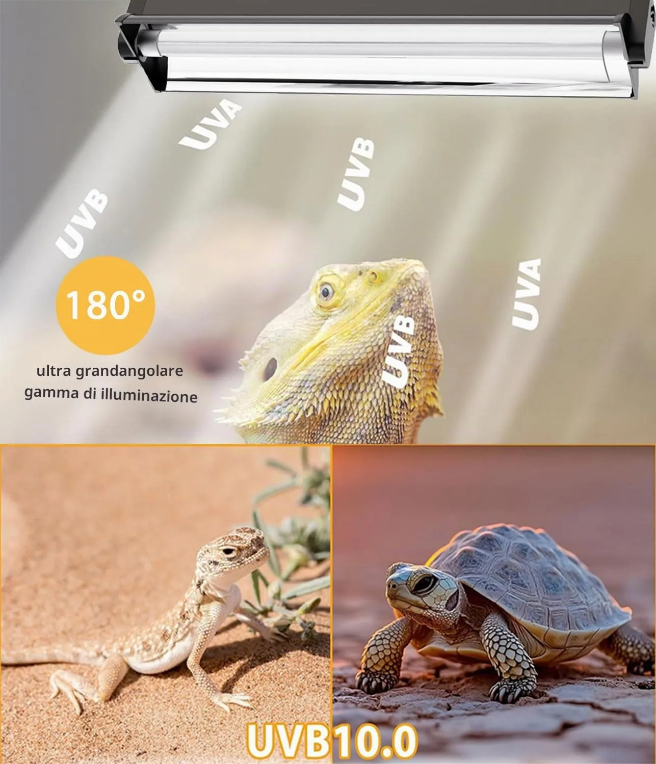 KINGYEENUO Kit Completo Lampada Rettile T5 UVB Lampadina 8W 10.0 UVA UVB - immagine 2
