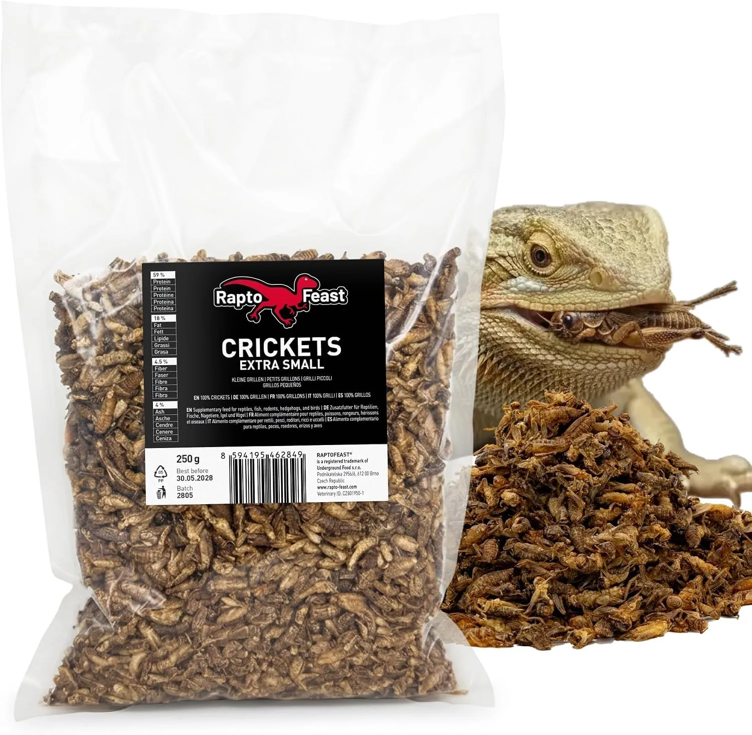Rapto Feast Grilli Essiccati Extra Piccoli 250g - Mangime Naturale | Insetti Ricchi di Proteine | Rettili, Tartarughe, Ricci e Piccoli Mammiferi | Snack Occasionale per Gechi e Draghi Barbuti - immagine 1