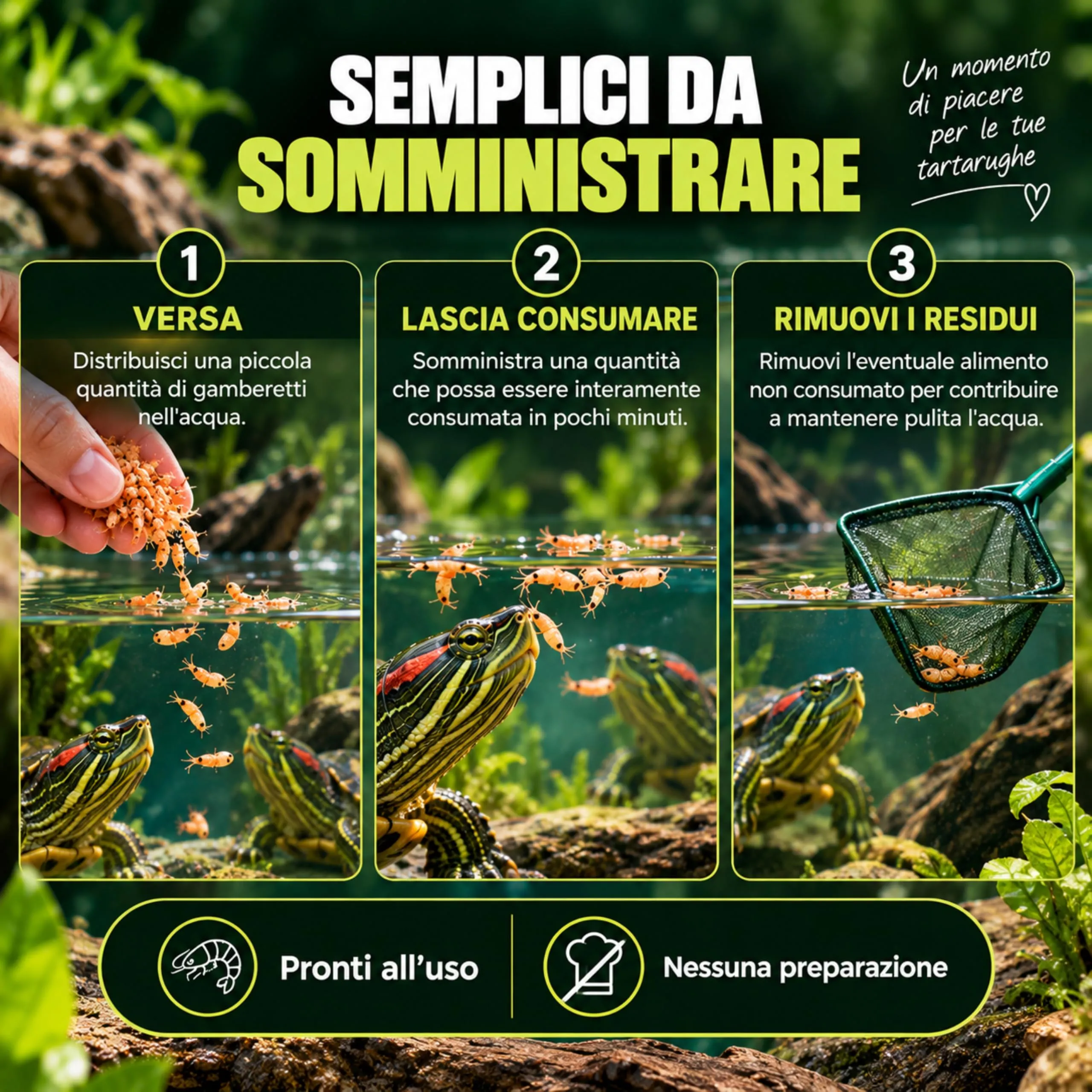 AGRI-CULTURA® | Gamberetti Essiccati per Tartarughe d’Acqua 150 g | 100% Gamberetti | Mangime Semplice Naturale, Fonte di Proteine e Alta Appetibilità | Alimento per Tartarughe Acquatiche. - immagine 6