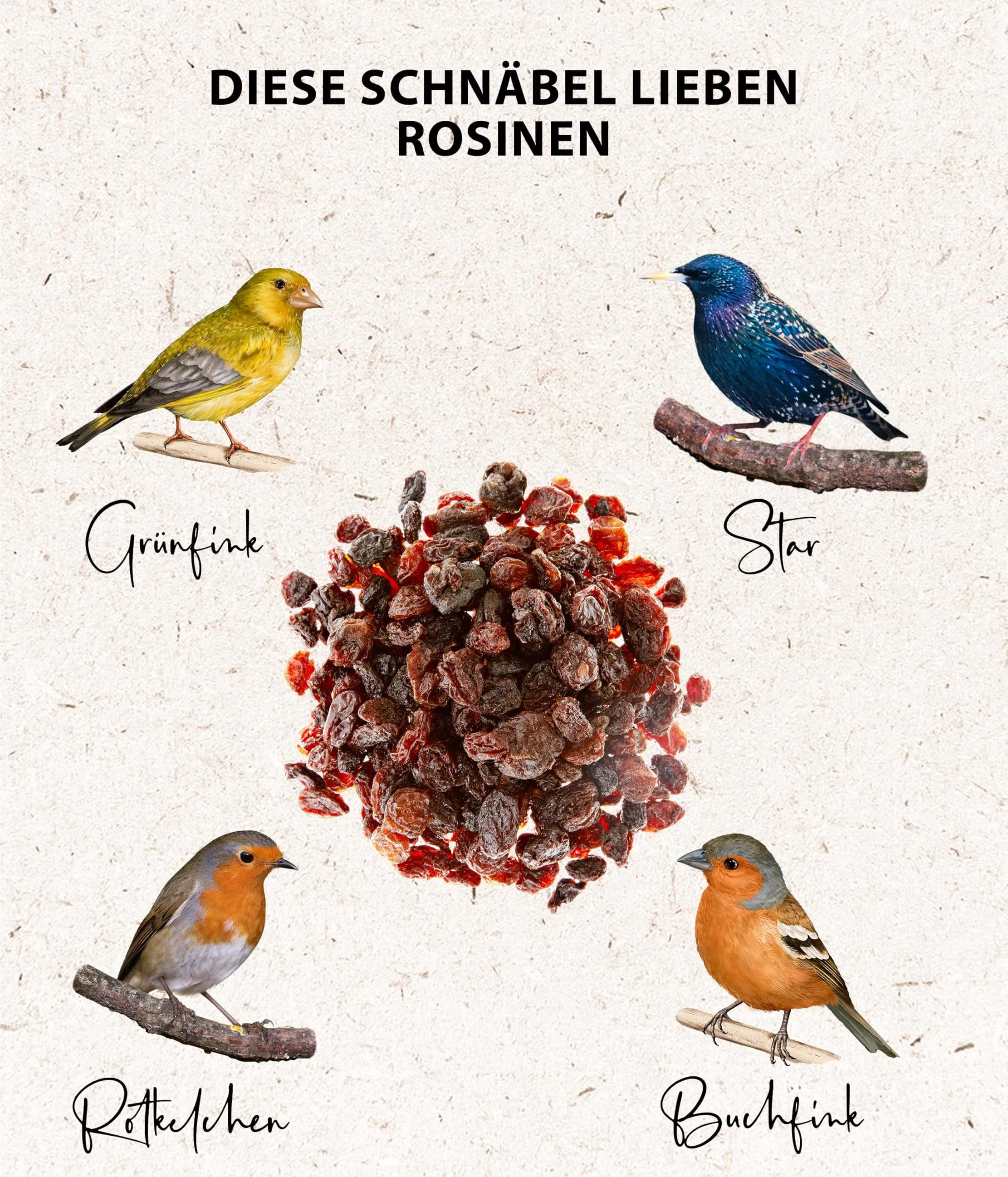 Dehner Natura Premium mangime per Uccelli, Cibo per Uccelli Selvatici Tutto L'Anno, Uvetta per merli, tordi e pettirossi, Senza additivi chimici, 5 kg. - immagine 3