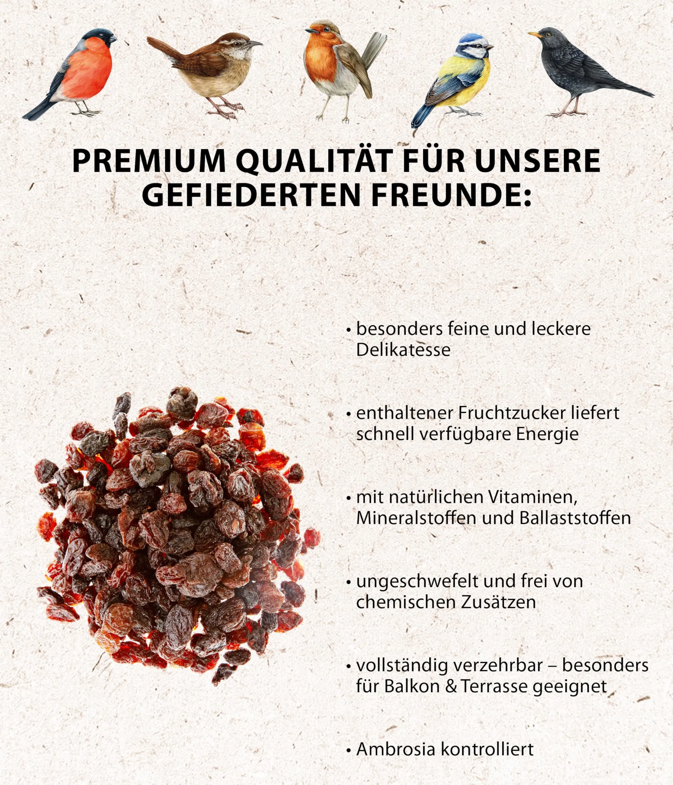 Dehner Natura Premium mangime per Uccelli, Cibo per Uccelli Selvatici Tutto L'Anno, Uvetta per merli, tordi e pettirossi, Senza additivi chimici, 5 kg. - immagine 4