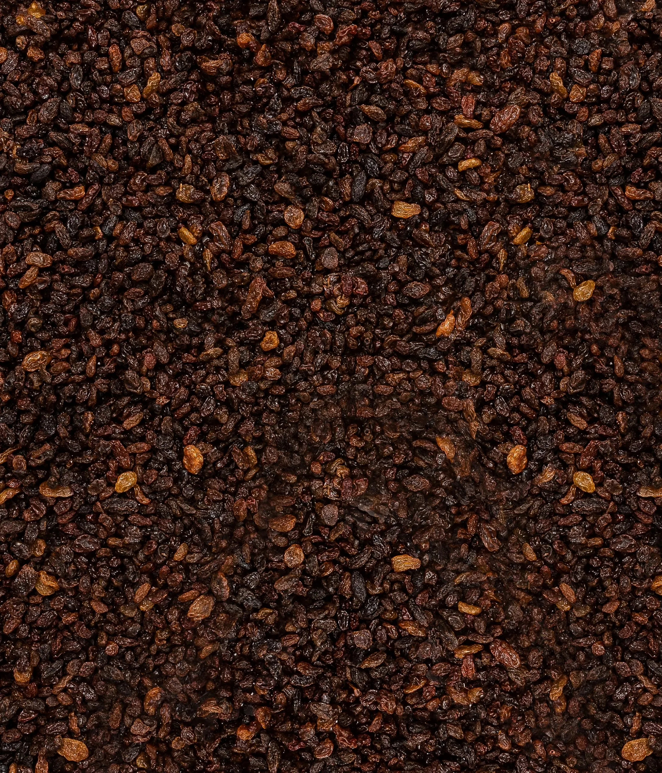 Dehner Natura Premium mangime per Uccelli, Cibo per Uccelli Selvatici Tutto L'Anno, Uvetta per merli, tordi e pettirossi, Senza additivi chimici, 5 kg. - immagine 8