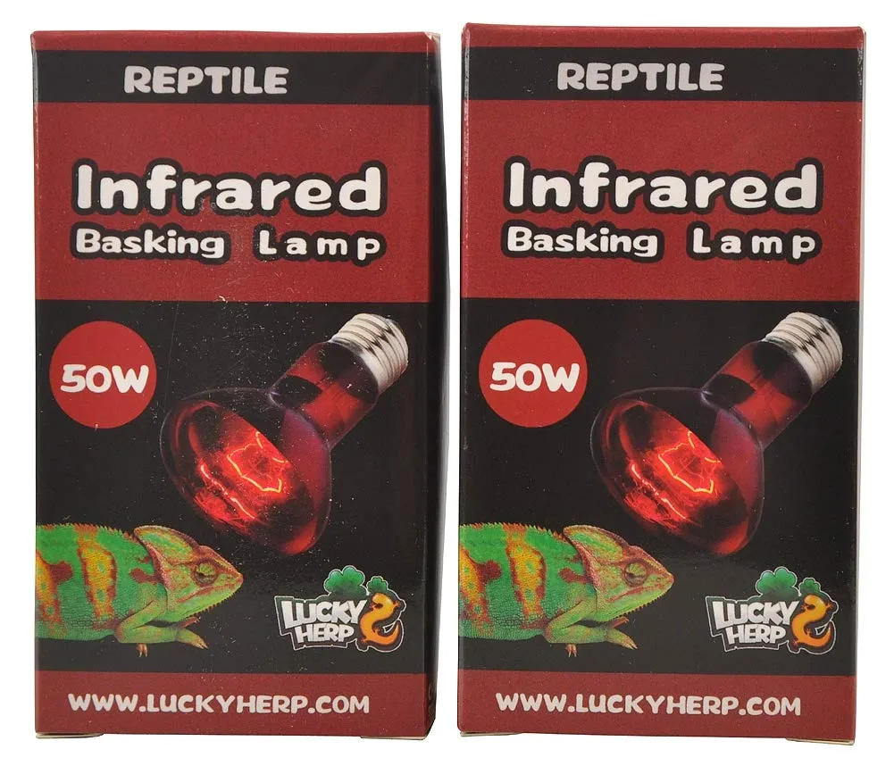 LUCKY HERP - Lampadine di riscaldamento a infrarossi per rettili, E27, filettatura (50 W) - immagine 1