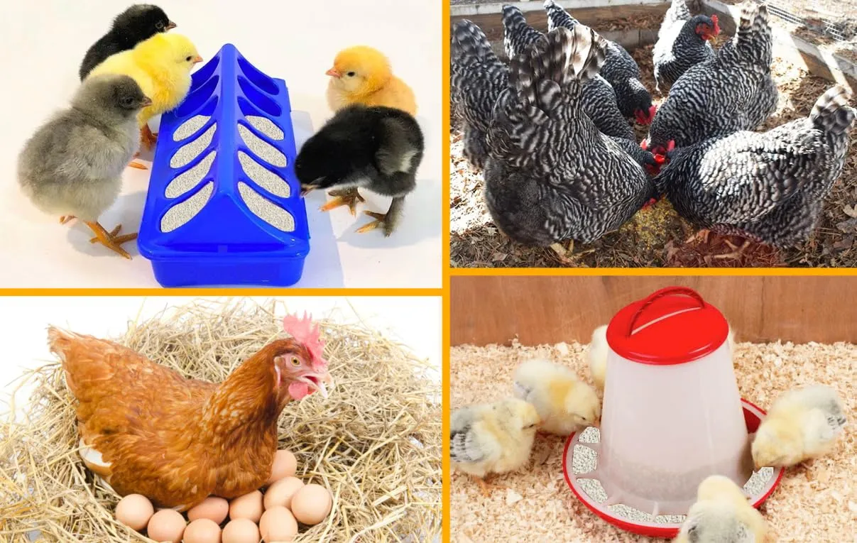 Sabbia Carbonato di Calcio Purissimo Ottimo per Galline Ovaiole in Vaso richidibile e riponibile (25 Kg) - immagine 5