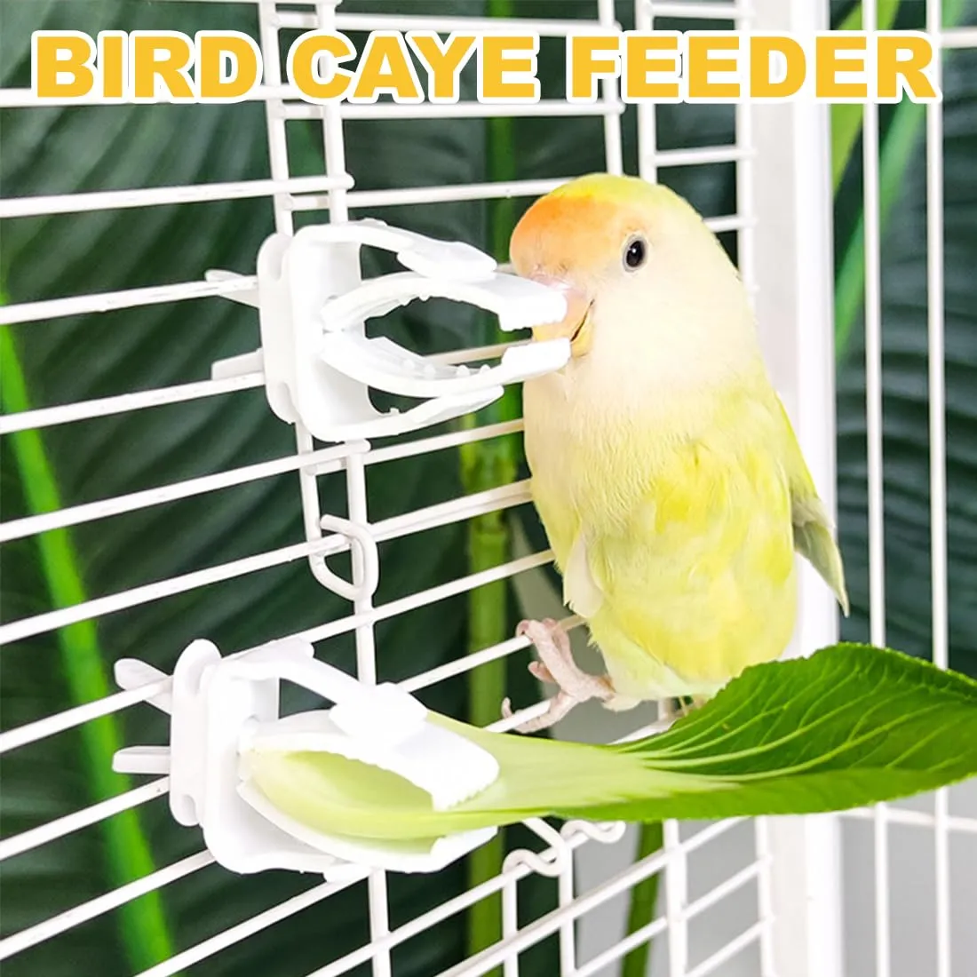 MIRKUZI Mangiatoie per uccelli 6 pezzi di clip per mangiatoie in plastica per gabbie per uccelli, clip per frutta e verdura per pappagalli, accessori per gabbie per uccelli per parrocchetti, cacatua - immagine 3