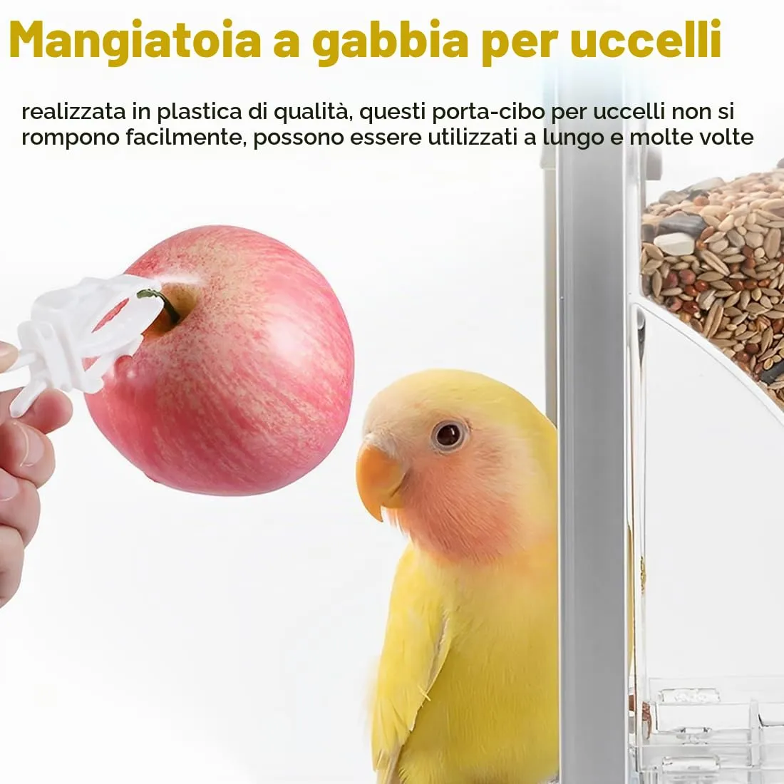 MIRKUZI Mangiatoie per uccelli 6 pezzi di clip per mangiatoie in plastica per gabbie per uccelli, clip per frutta e verdura per pappagalli, accessori per gabbie per uccelli per parrocchetti, cacatua - immagine 5