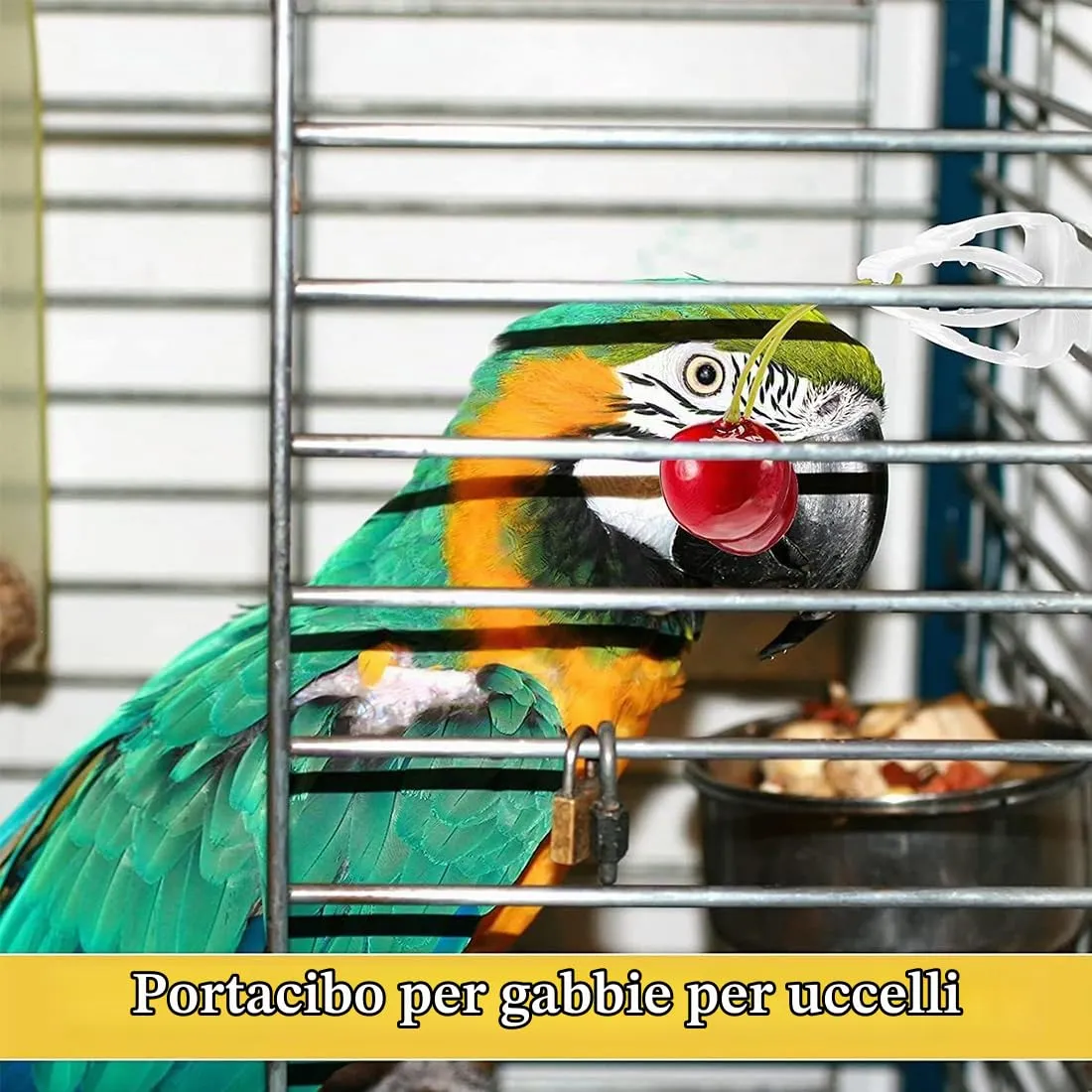 MIRKUZI Mangiatoie per uccelli 6 pezzi di clip per mangiatoie in plastica per gabbie per uccelli, clip per frutta e verdura per pappagalli, accessori per gabbie per uccelli per parrocchetti, cacatua - immagine 6