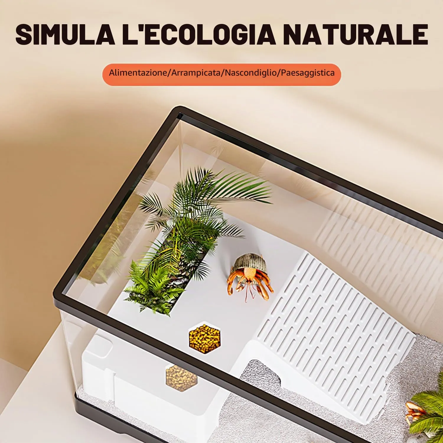Acquario per tartarughe con piattaforma per prendere il sole e drenaggio inferiore, 50,8 x 24,1 x 24,1 cm, per tartarughe giovani, gamberi di fiume, granchi, anfibi, rettili, colore nero - immagine 5