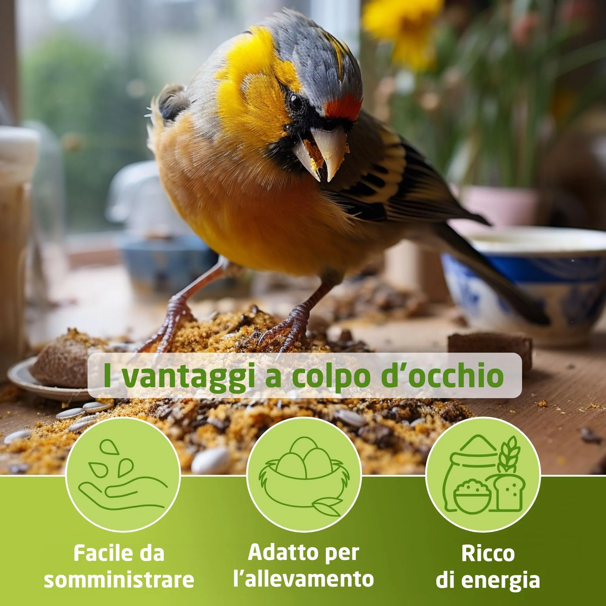 Eggersmann volaris Mangime per uccelli selvatici tutto l'anno 3 kg [Grassi] mangime per uccelli selvatici per tutto l'anno | Mangime ricco di grassi per tutte le specie di uccelli - immagine 3