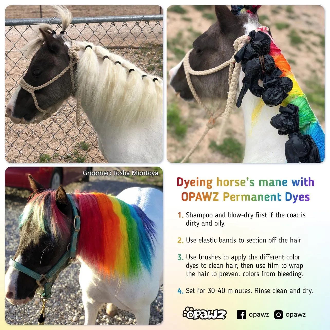 Opawz Permanente Tintura per Cani, Saloni Utilizzata Sicuro per Un Decennio Colorante per Cani, Tintura per Animali Dura Oltre 20 Lavaggi per Cani e Cavalli (Fiamma Arancione) - immagine 4