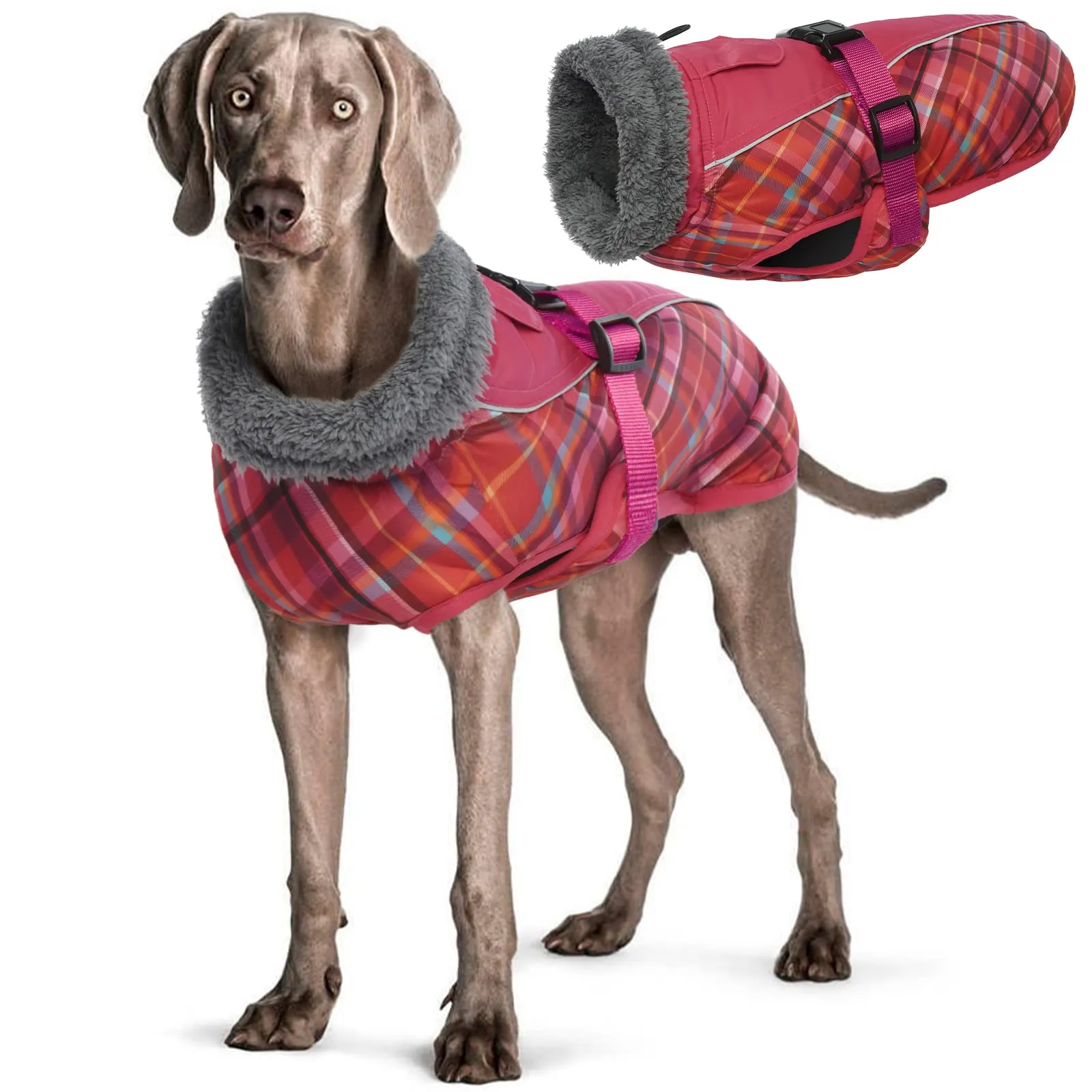 Hjyokuso Cappotto per Cani Impermeabile, Giacca Invernale Calda e Antivento, Abbigliamento Completo per Cani di Taglia Piccola e Media Con Striscia Riflettente - immagine 1