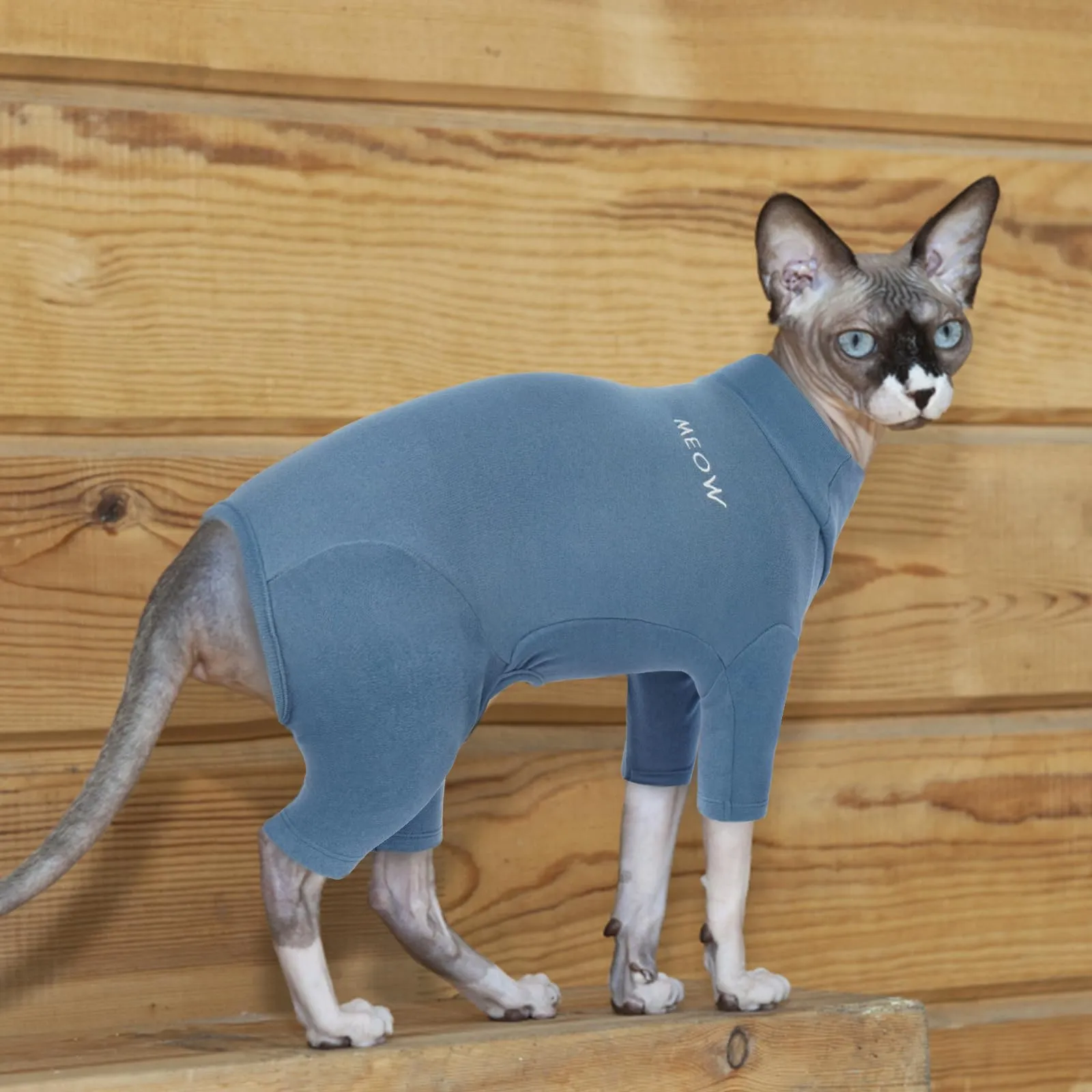 Cappotto Invernale Cani, Maglioncino a Collo Alto Giacca Fleece Antivento Pullover Caldo Gattini Pigiama Felpa Gilet Inverno Morbido per Gatti di Taglia Piccola Media Grande(Blu, M) - immagine 6