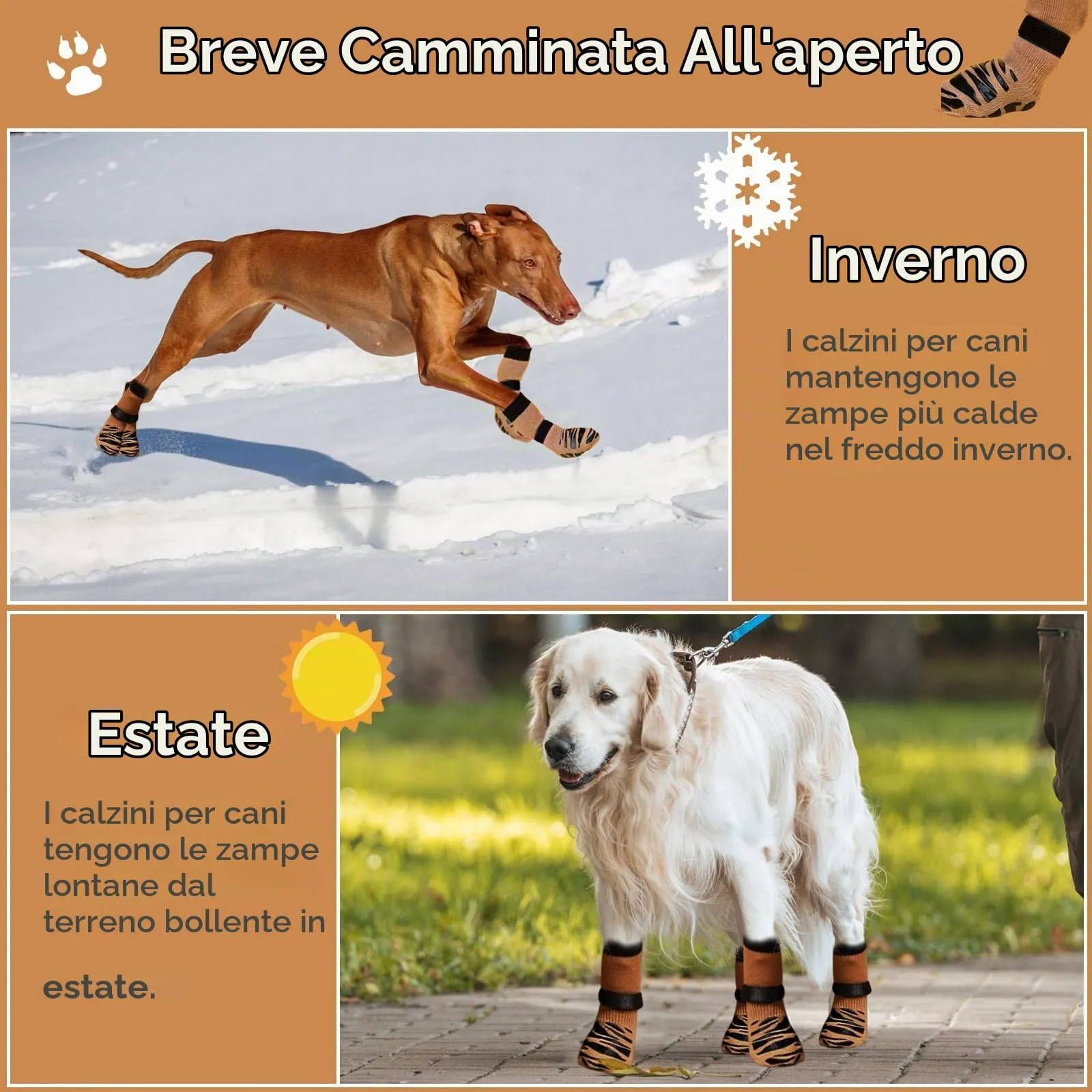 2 Paia Calzini Antiscivolo per Cani da Interno, Calze per Cani con Doppio Silicone Antiscivolo, Migliora la Trazione su Pavimenti in Legno e Piastrelle, Morbidi e Traspiranti - immagine 2