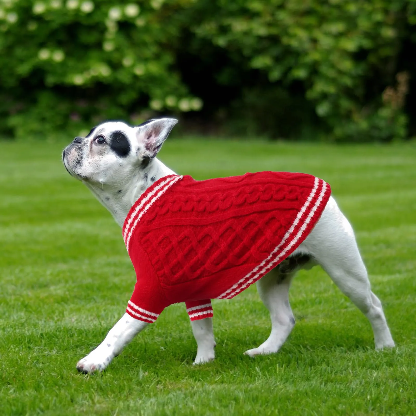 LiebeDD Maglioncino Cane di Taglia Media Grande, Maglione Natale Cane Gatto, Animali Domestici Pullover Lavorato Maglia Cane, Caldo e Morbido Vestiti per Cani Invernali, Rosso, M - immagine 5