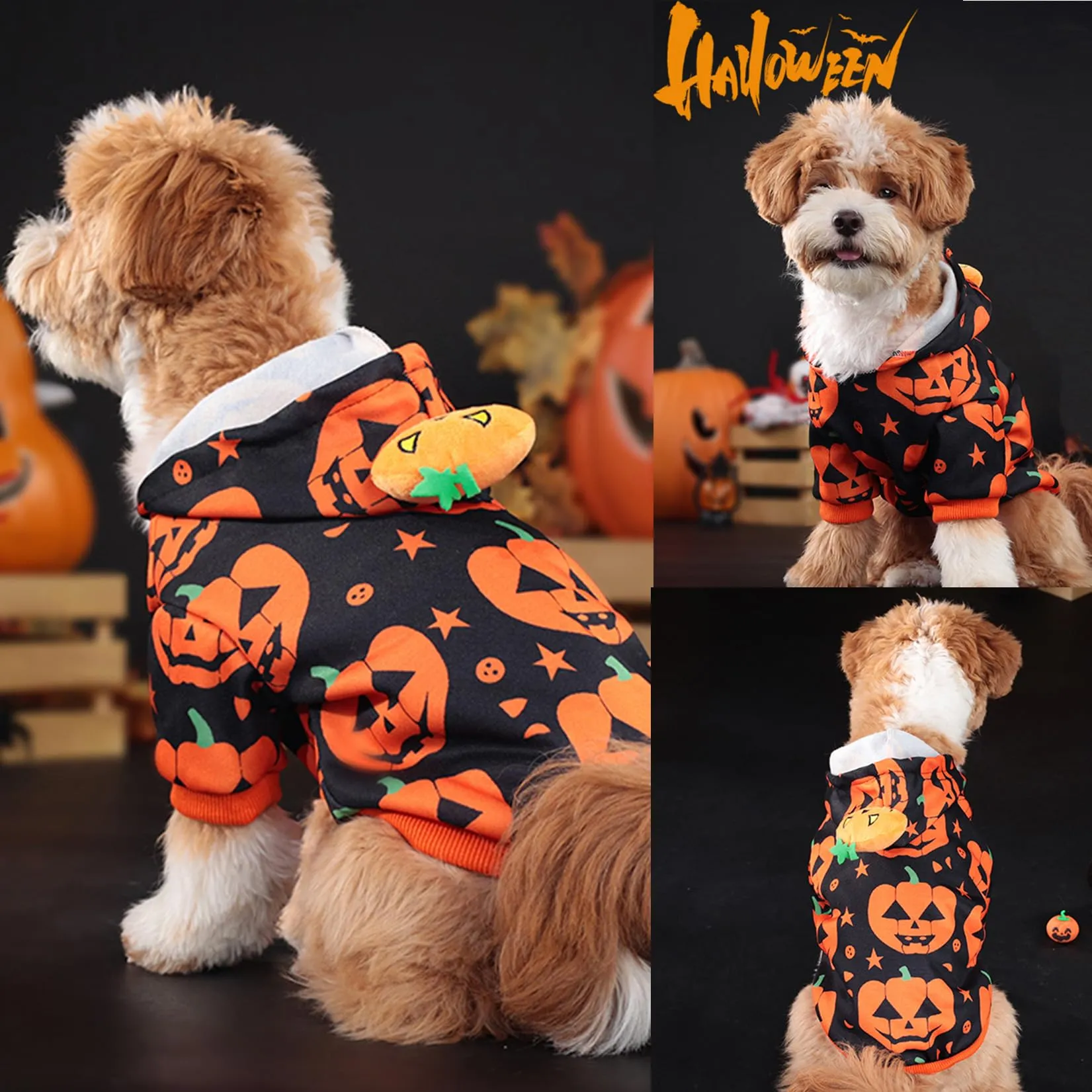 Zunea - Costume di Halloween per cane a forma di zucca, con cappuccio, maglietta con cappuccio per cani di piccola taglia, cucciolo, felpa con cappuccio per chihuahua - immagine 5