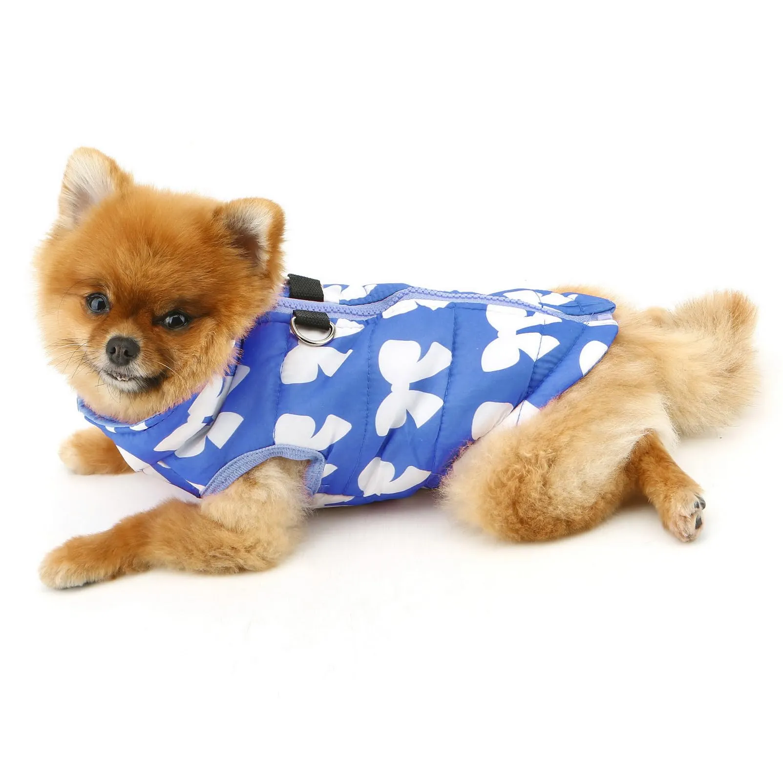 SMALLLEE_LUCKY_STORE Giacca invernale impermeabile per cani e gatti di piccola taglia, con cerniera, imbottita, per Chihuahua, Yorkie, gattini, abbigliamento caldo, Blu scuro, L - immagine 8